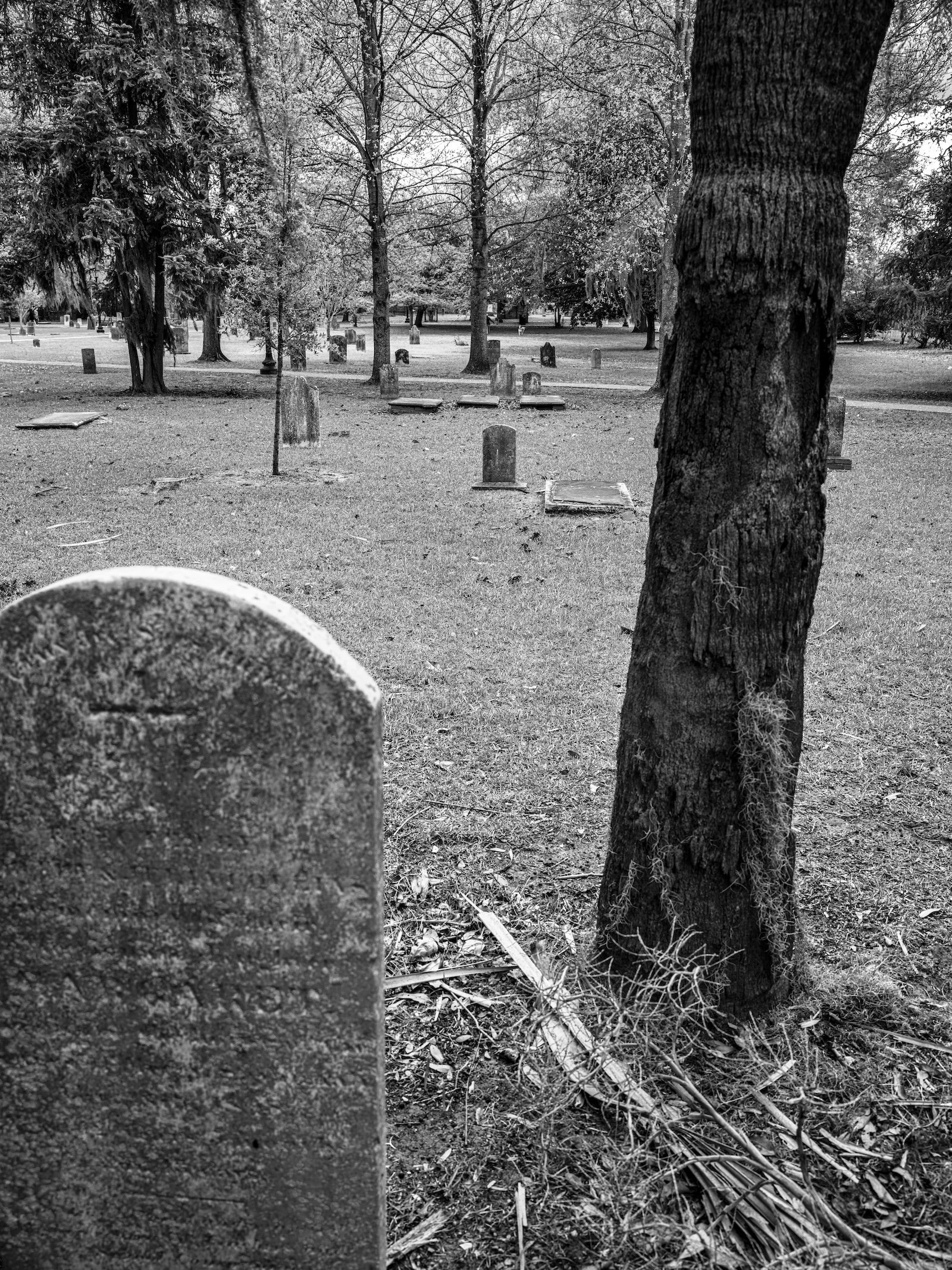 Savannah Graveyard copy.jpg