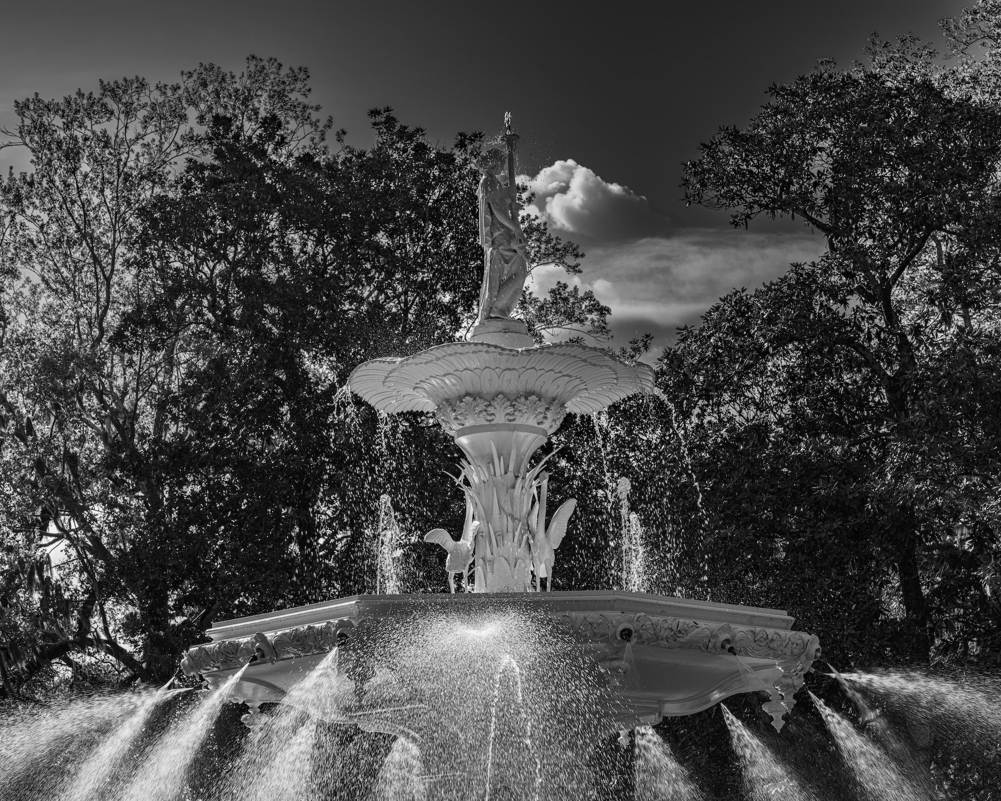 Savannah Forsyth Square5 copy.jpg