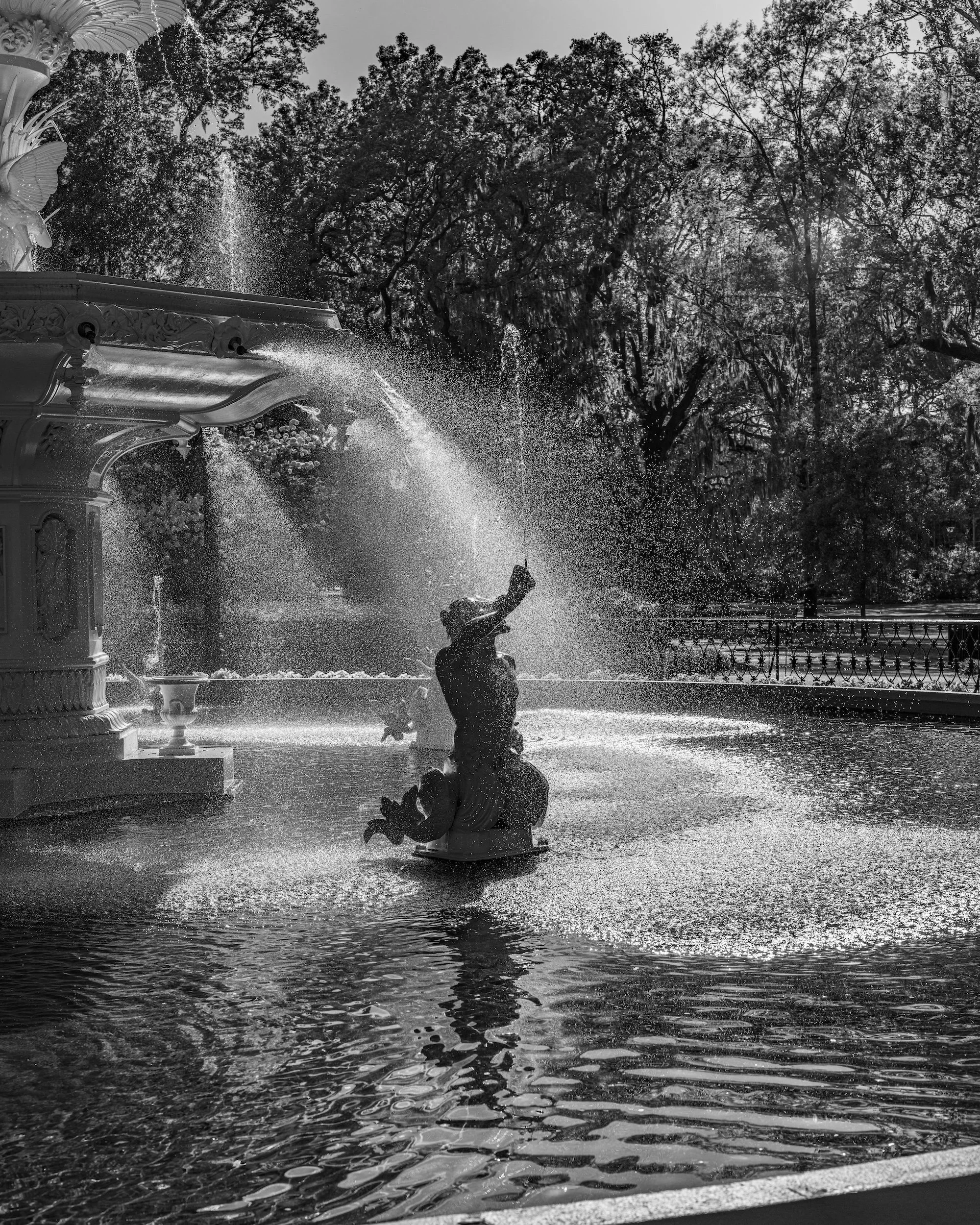 Savannah Forsyth Square3 copy.jpg