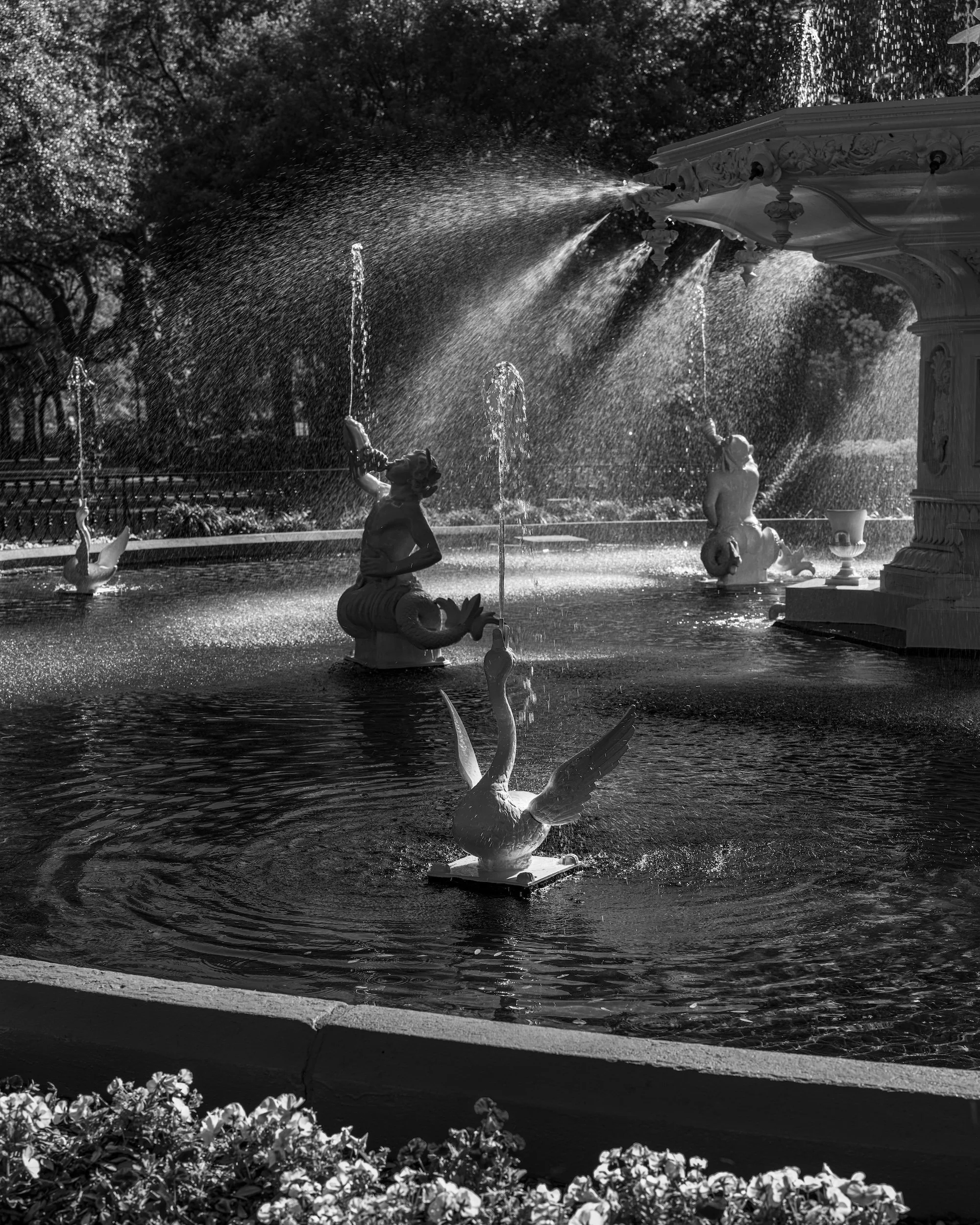 Savannah Forsyth Square2 copy.jpg