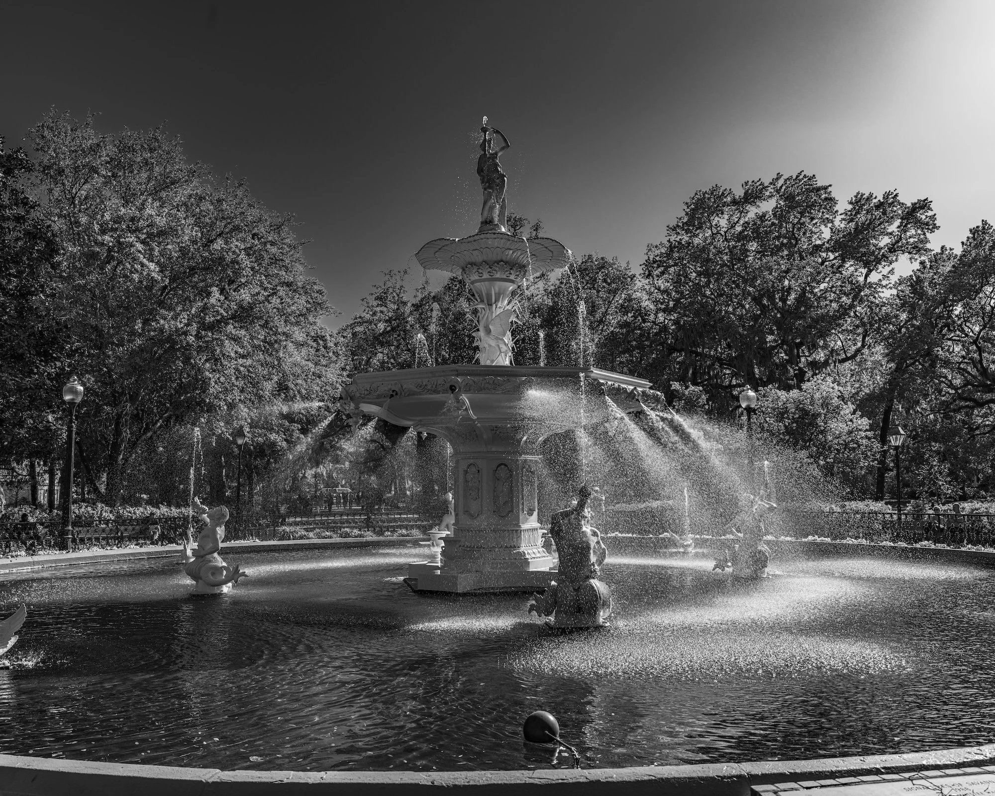 Savannah Forsyth Square copy.jpg