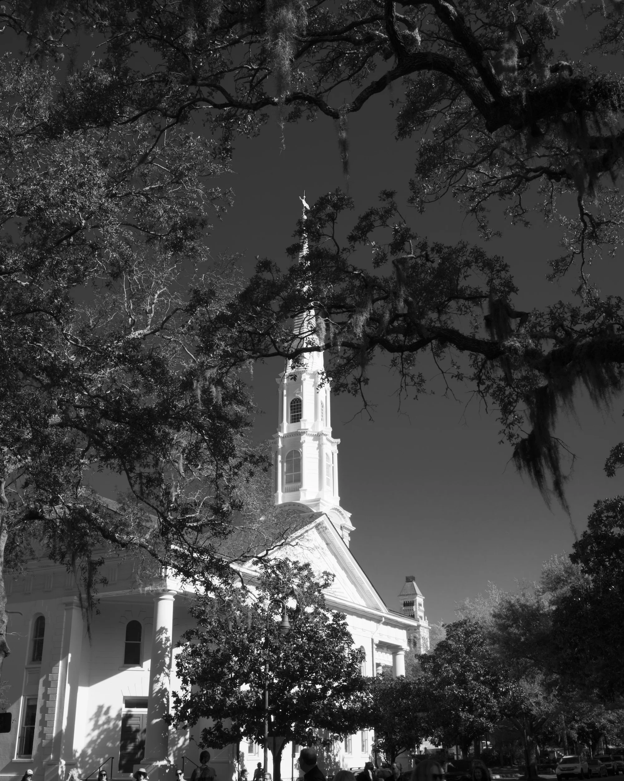 Savannah Church copy.jpg