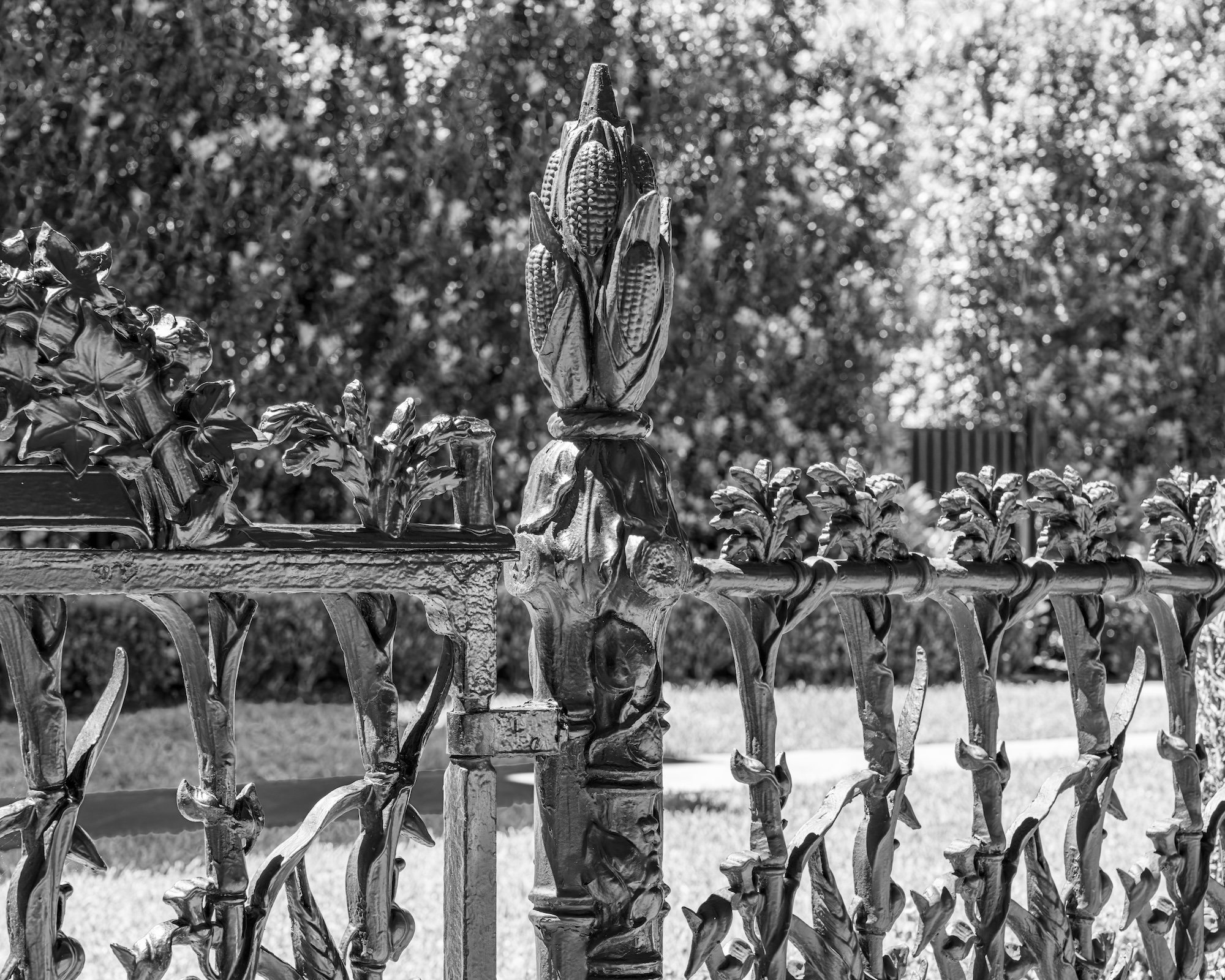 New Orleans2 copy.jpg