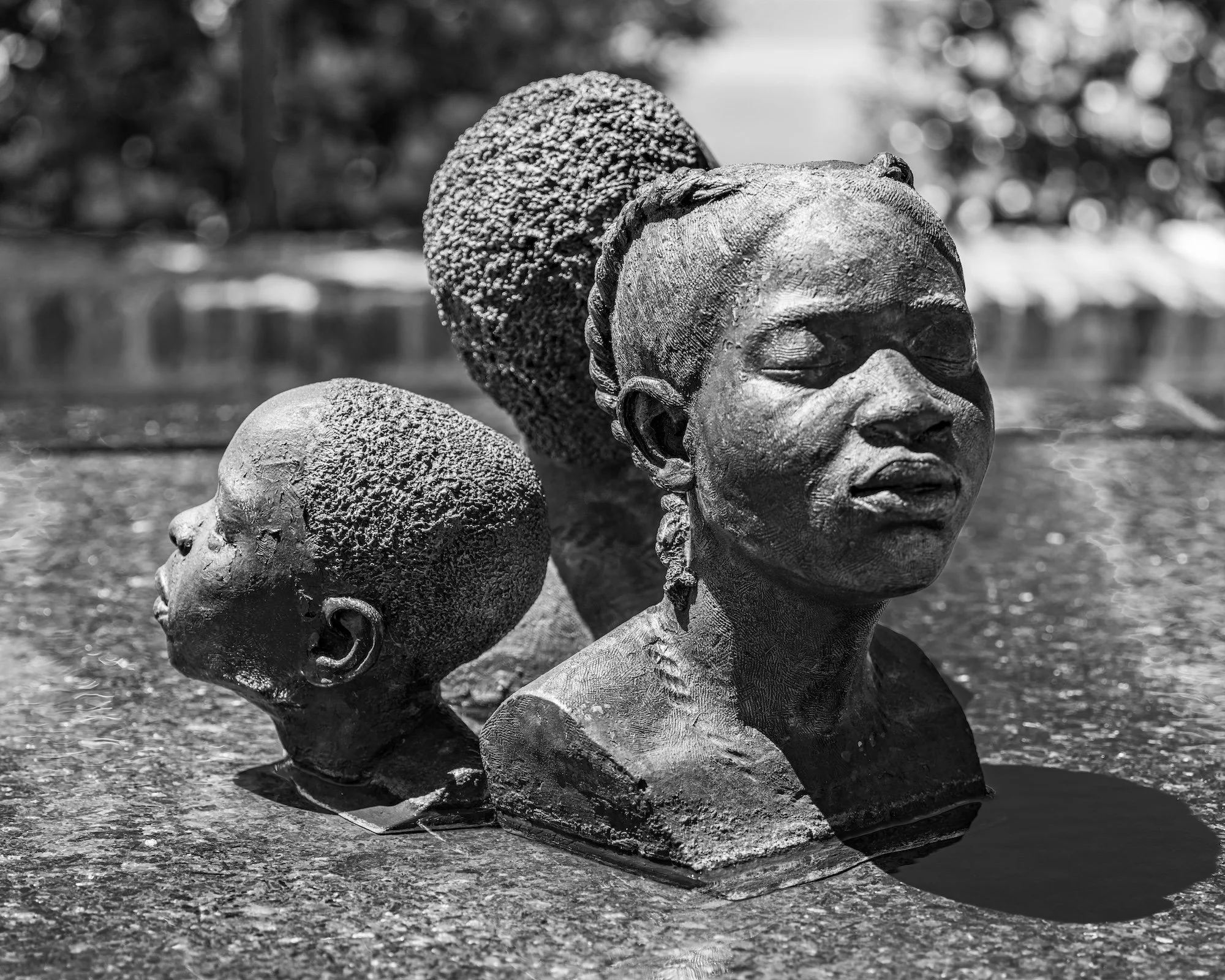 Montgomery4 copy.jpg