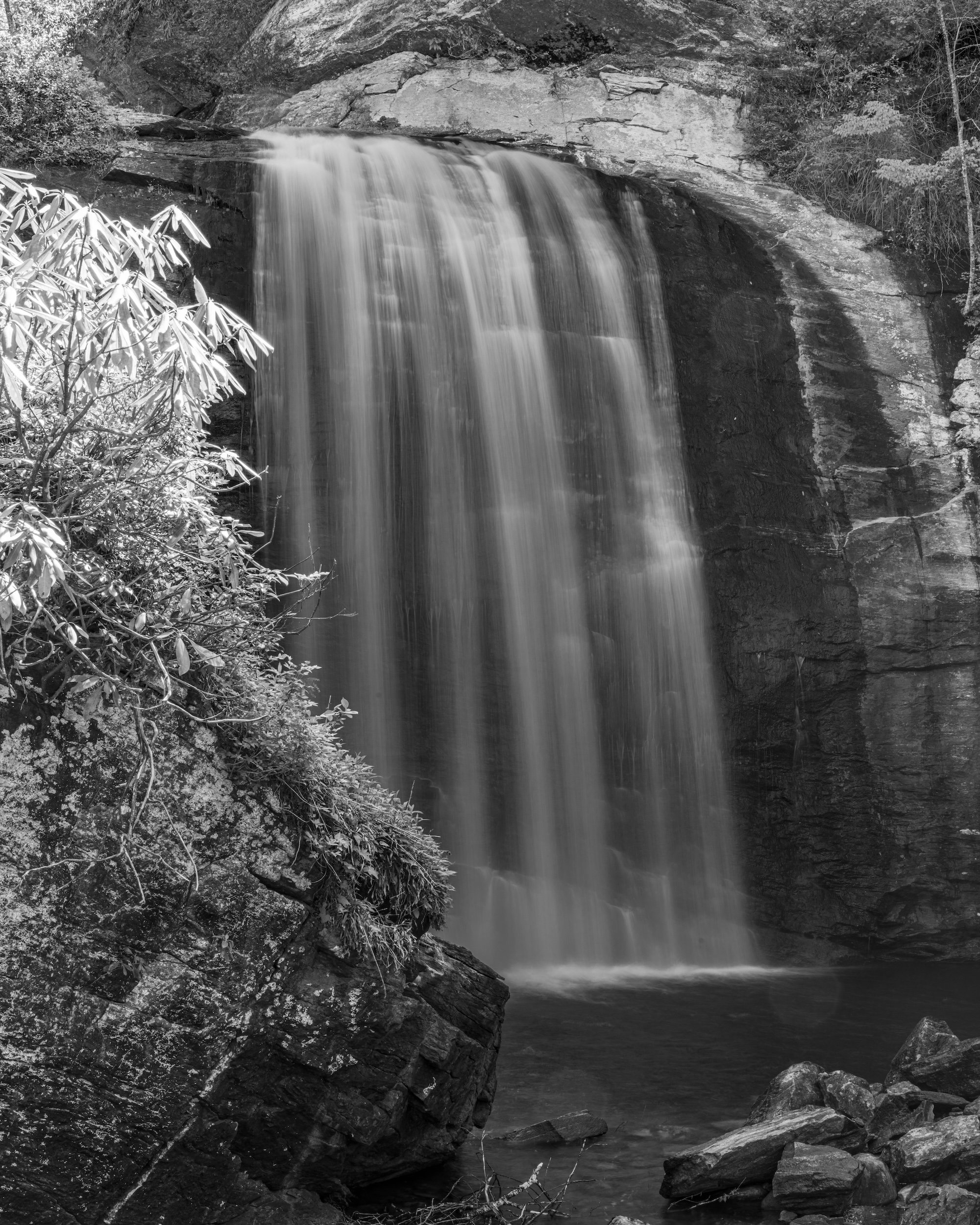 Looking Glass Falls-Pisgah Natl Forest3 copy.jpg