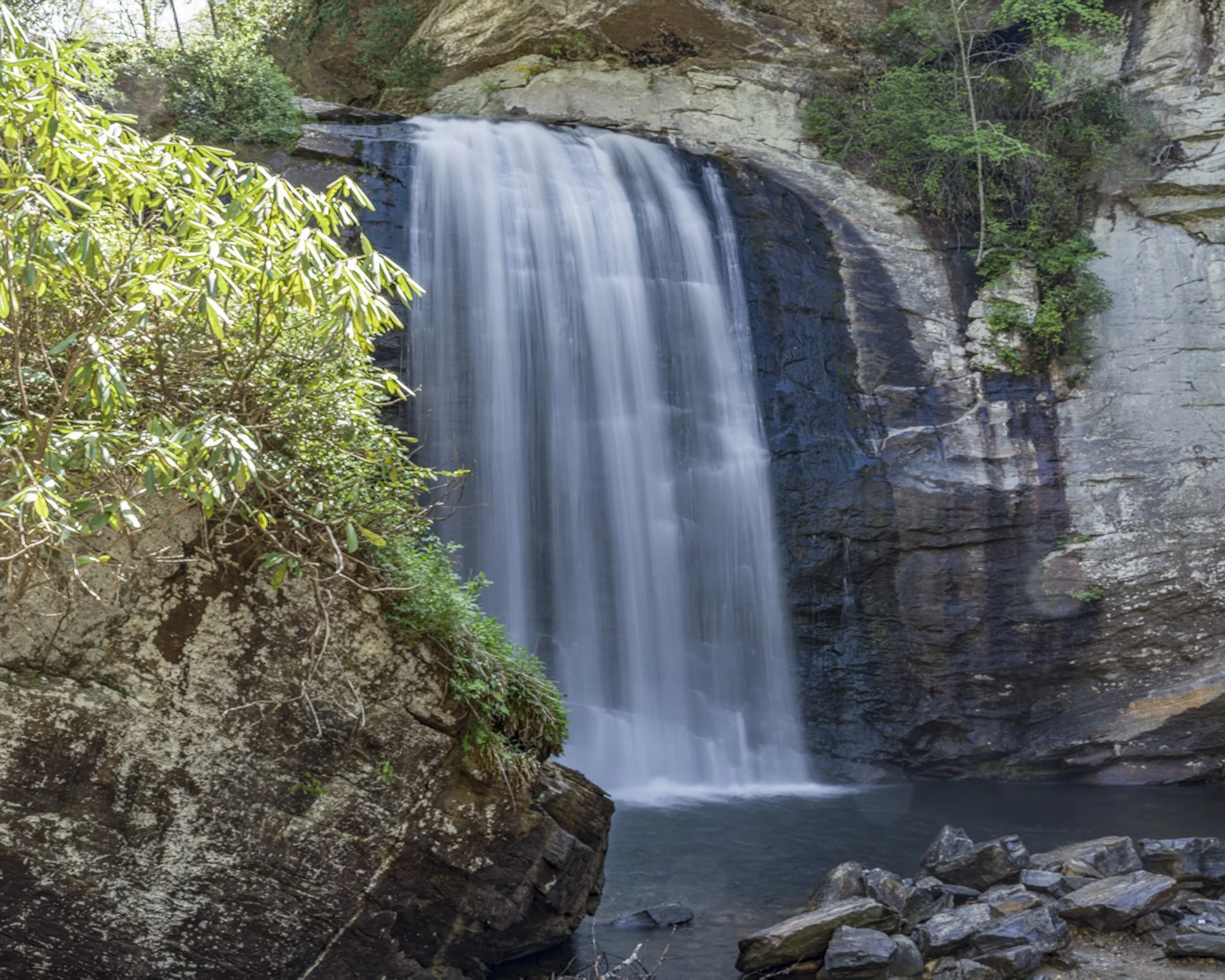 Looking Glass Falls-Pisgah Natl Forest1 copy.jpg