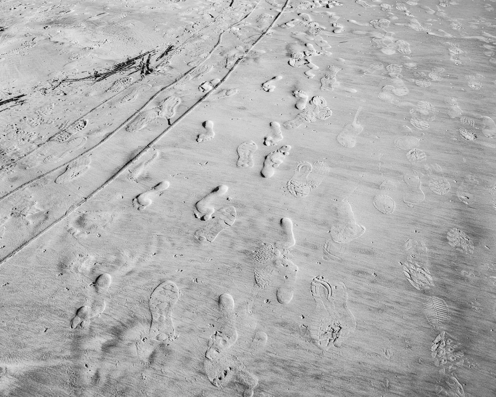 Jekyll Island GA2 copy.jpg