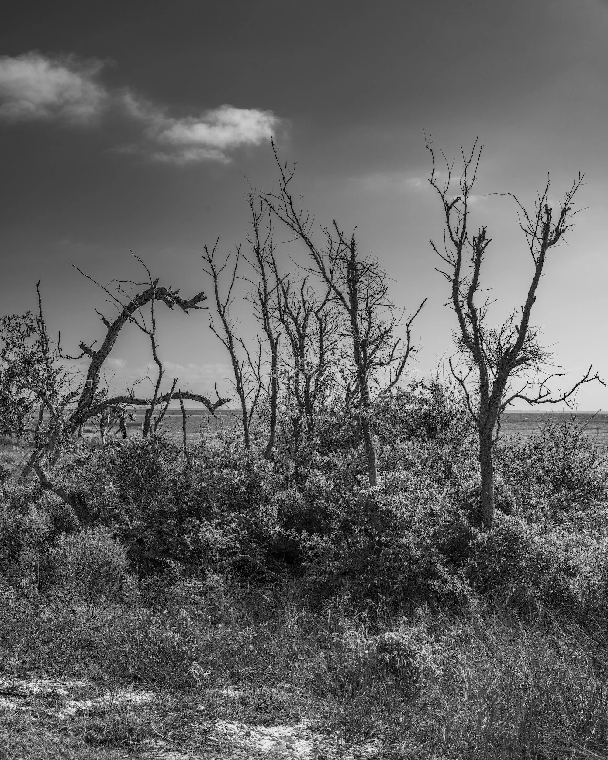 Cape San Blas FL2 copy.jpg