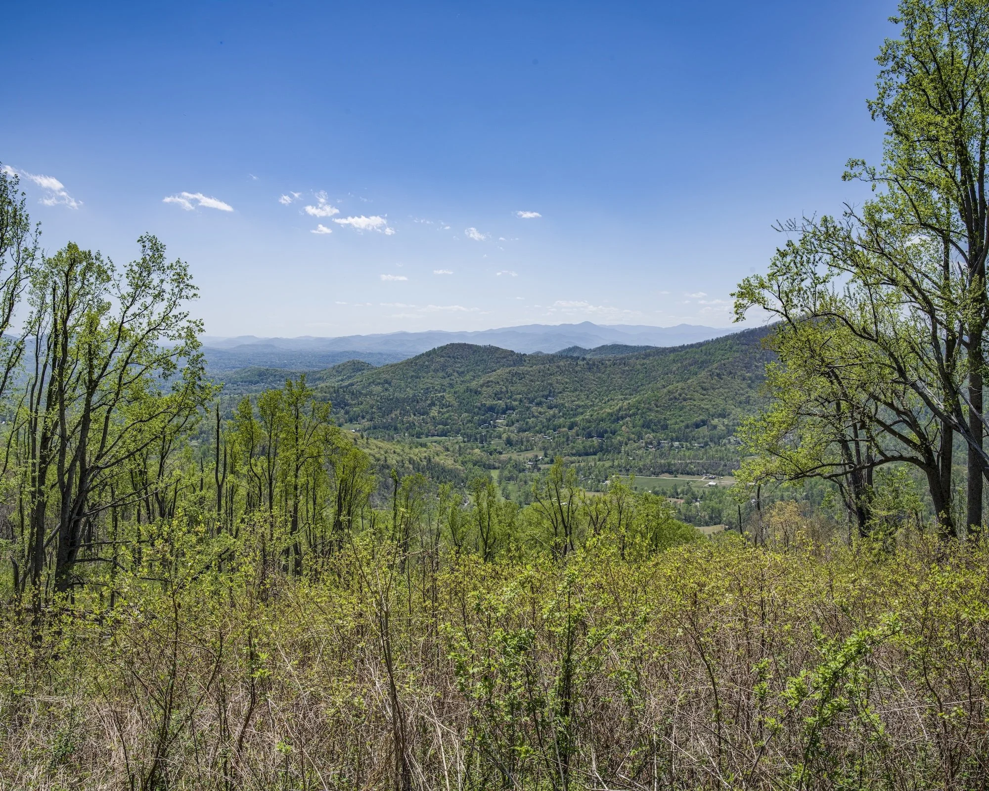 Asheville (BR Parkway)2 copy.jpg