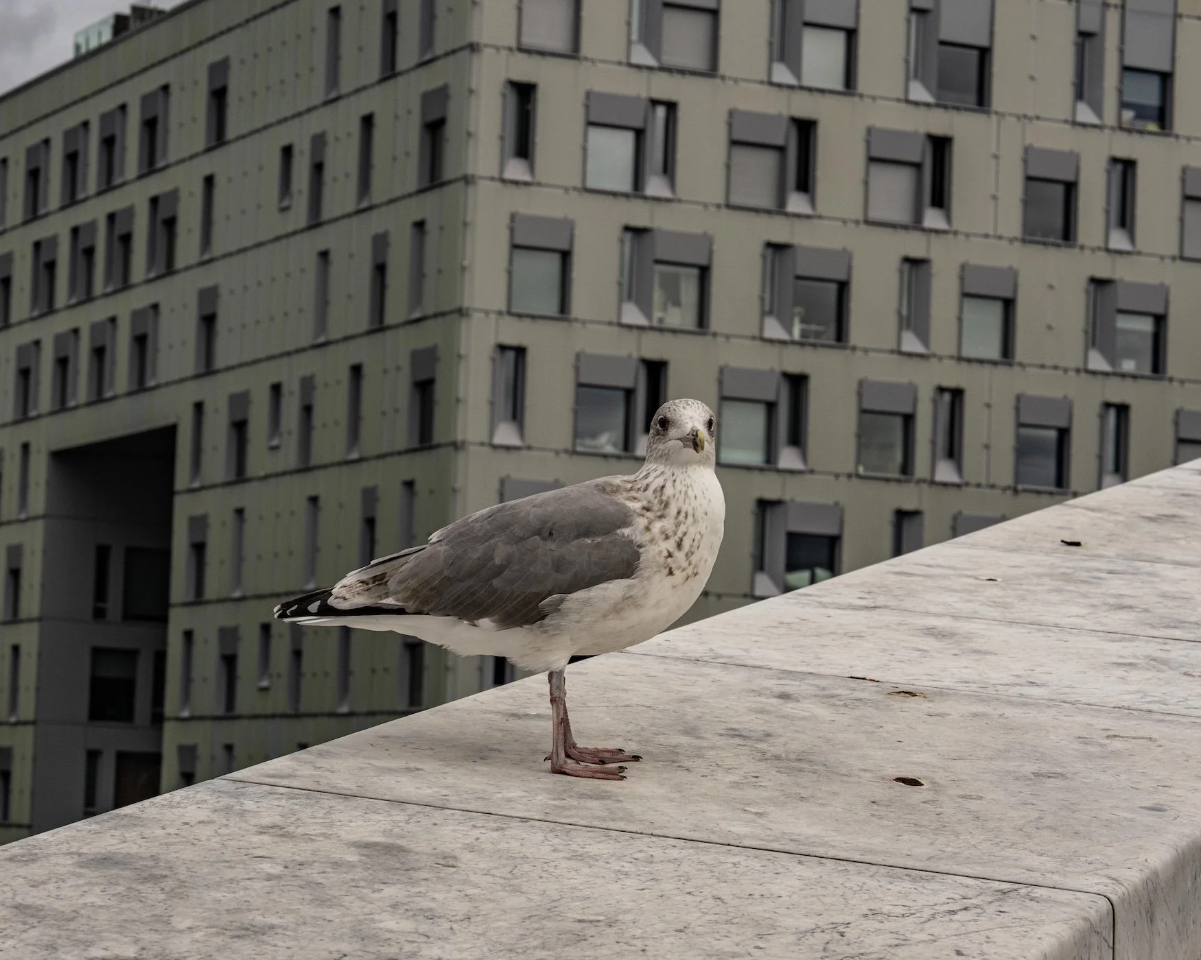 Oslo