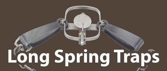 Long Spring Traps.jpg
