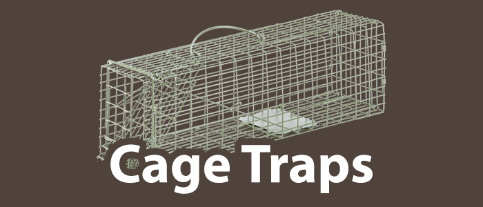 Long Spring Traps — Duke Traps