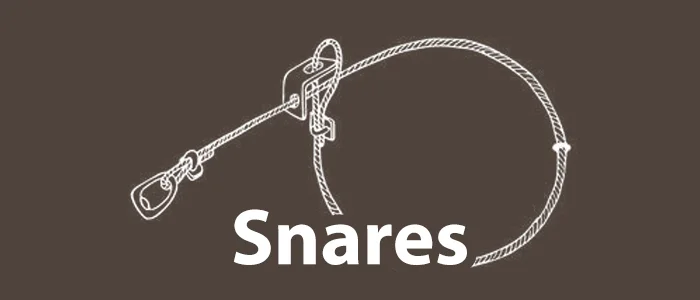 Snares.jpg