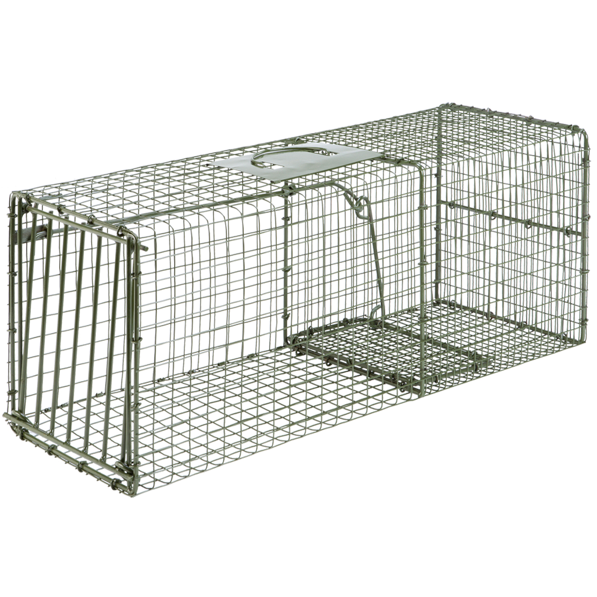 Duke Traps 10 In. Jaw Spread Steel Body Gripping Beaver, Bobcat, Coyote, &  Otter Trap - Power Townsend Company