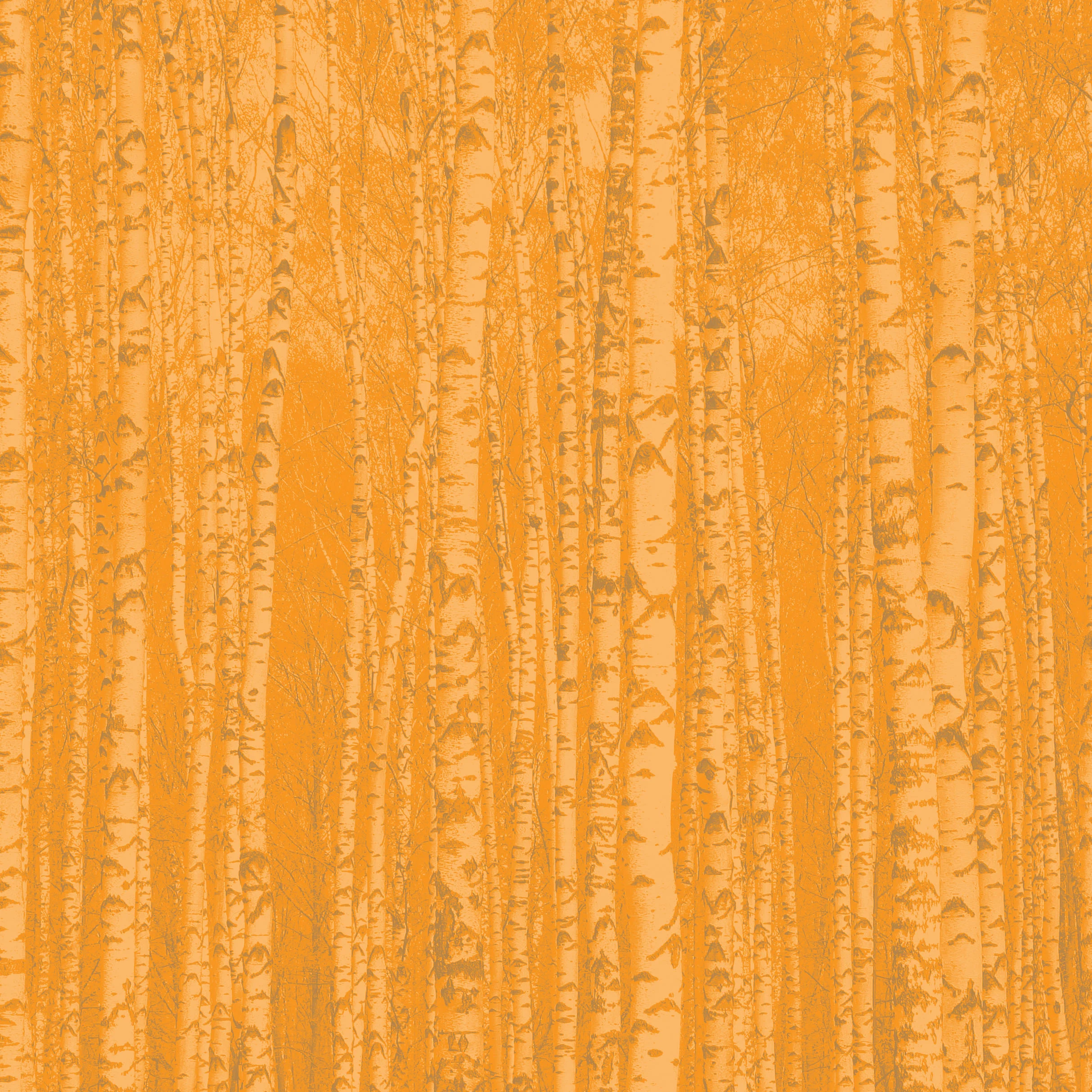 COLOR X6.jpg