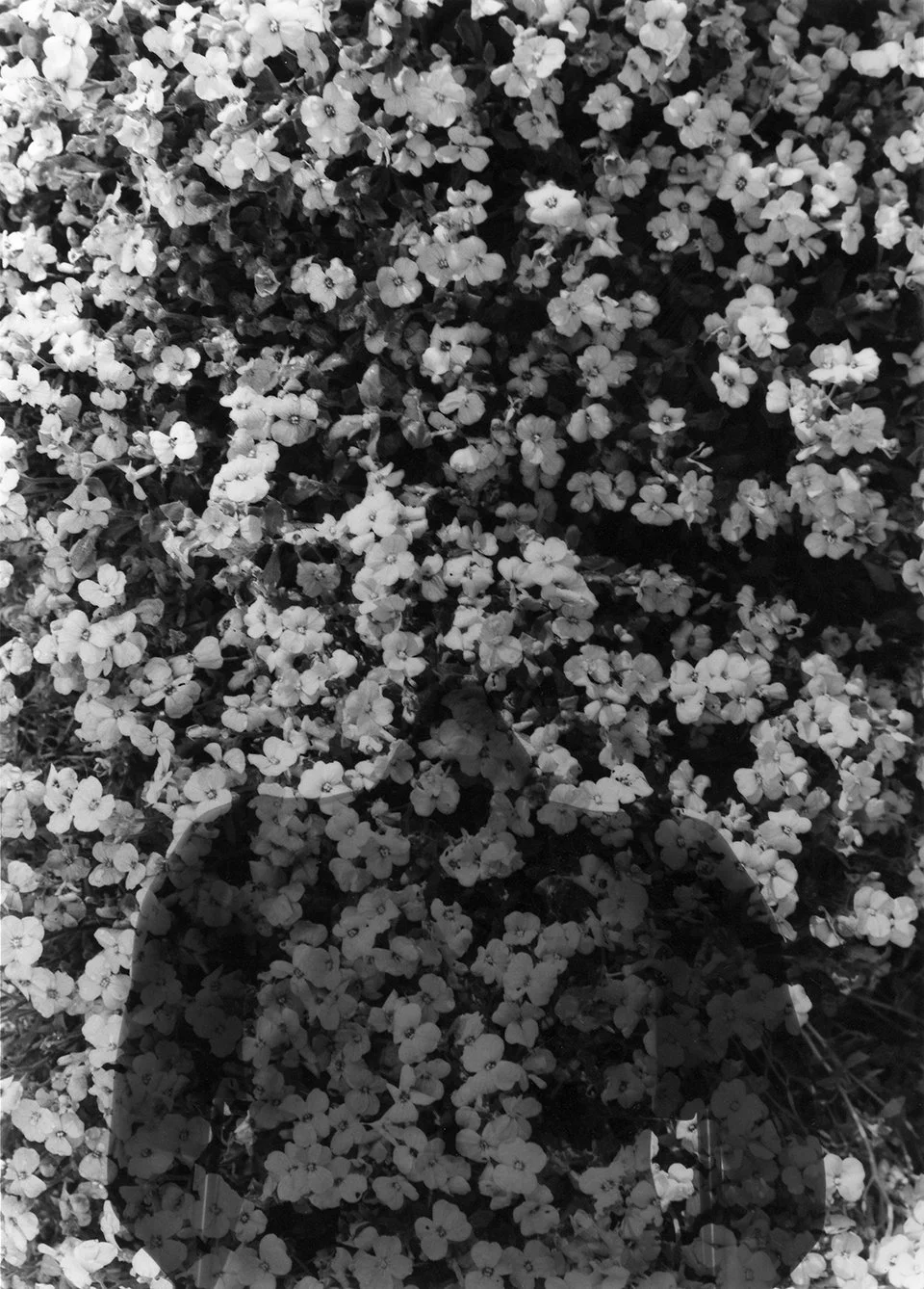 Photo (3).jpg