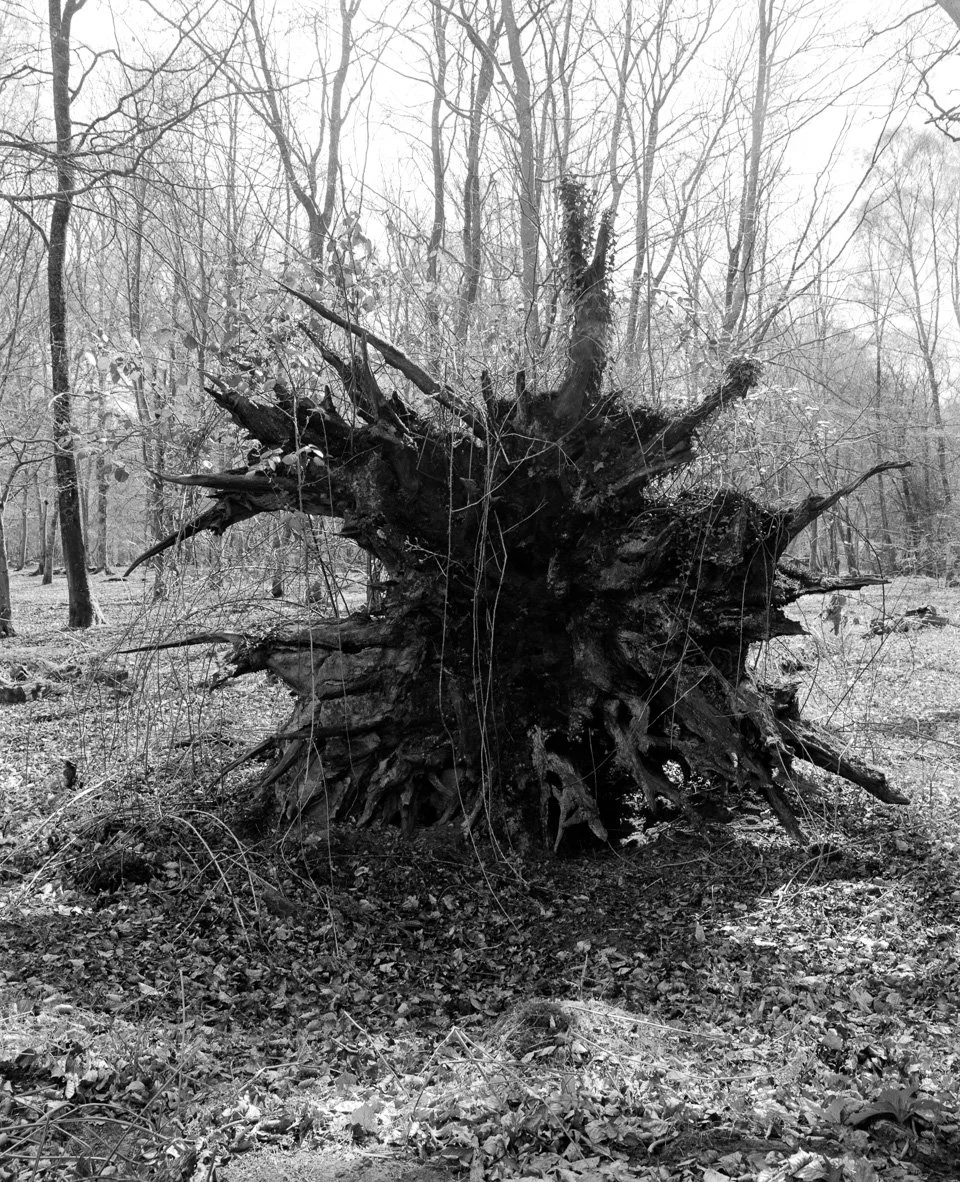 Photo-36.jpg