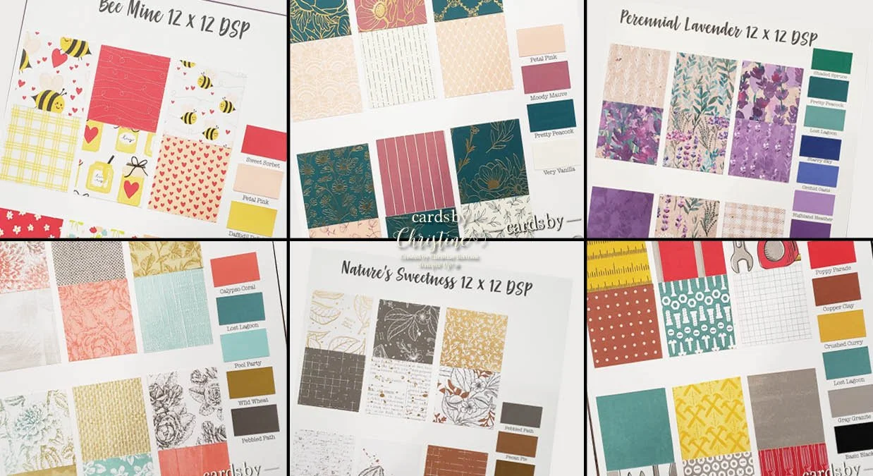 DSP Sampler Spring Mini 2024 Collage.jpg