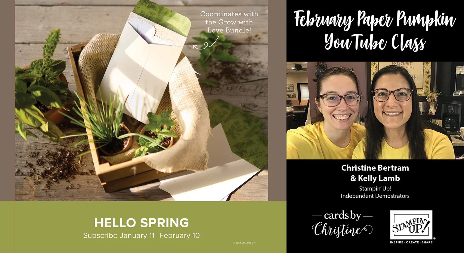 February Paper Pumpkin - YouTube Live - FREE — Cards by Christine