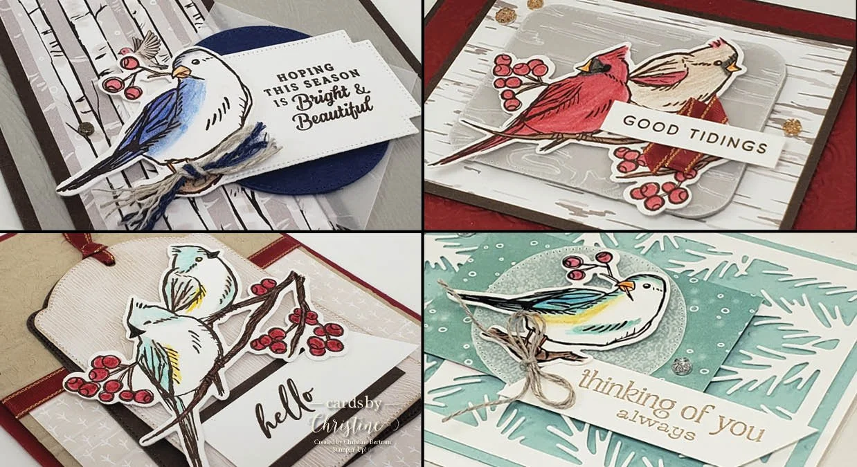 Bundle Class Nests of Winter October 2024 Collage.jpg