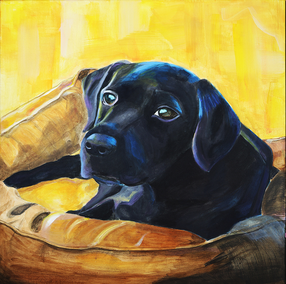 _Elle's dog.jpg
