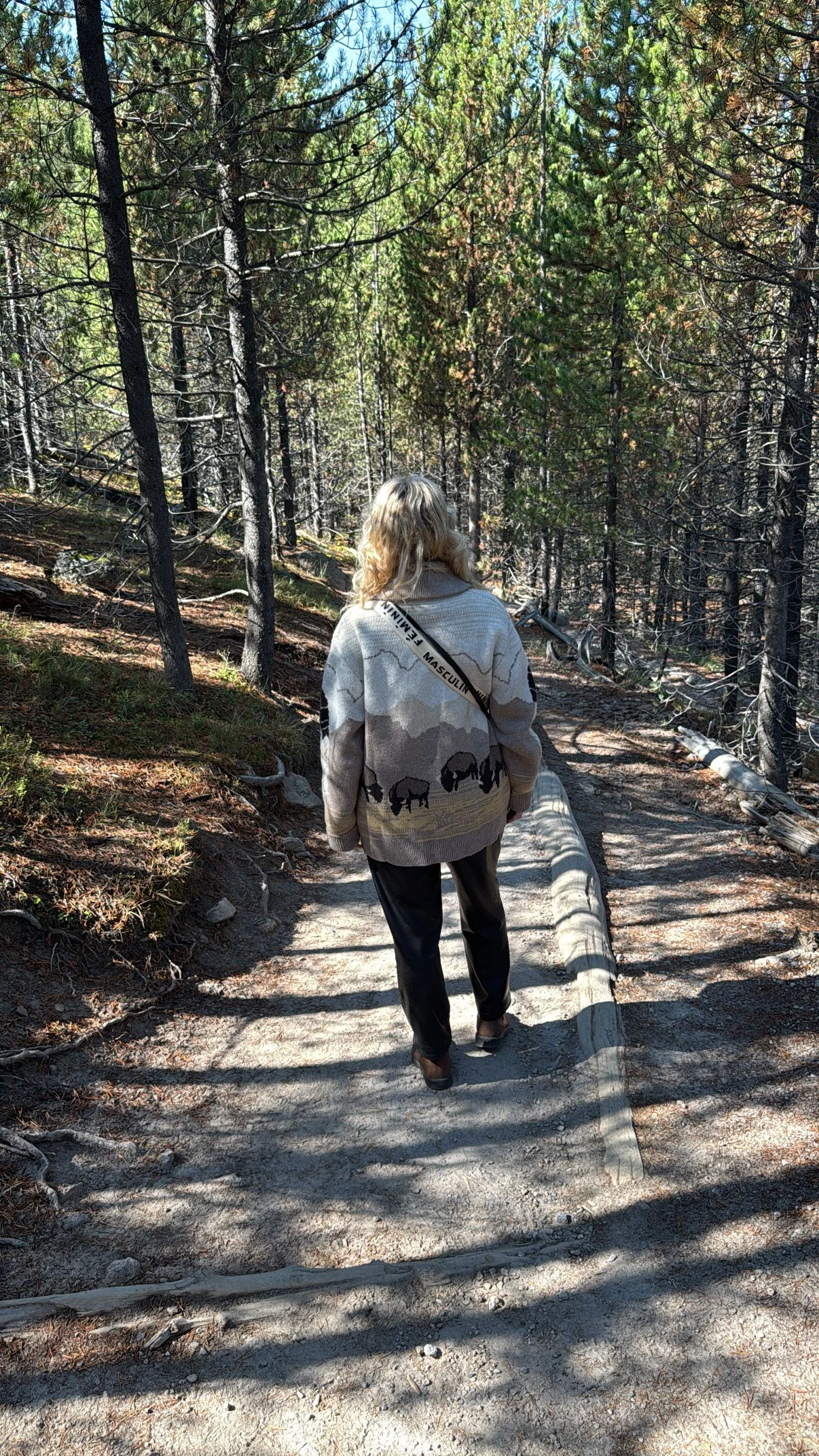 Staying Well While Visiting Yellowstone National Park