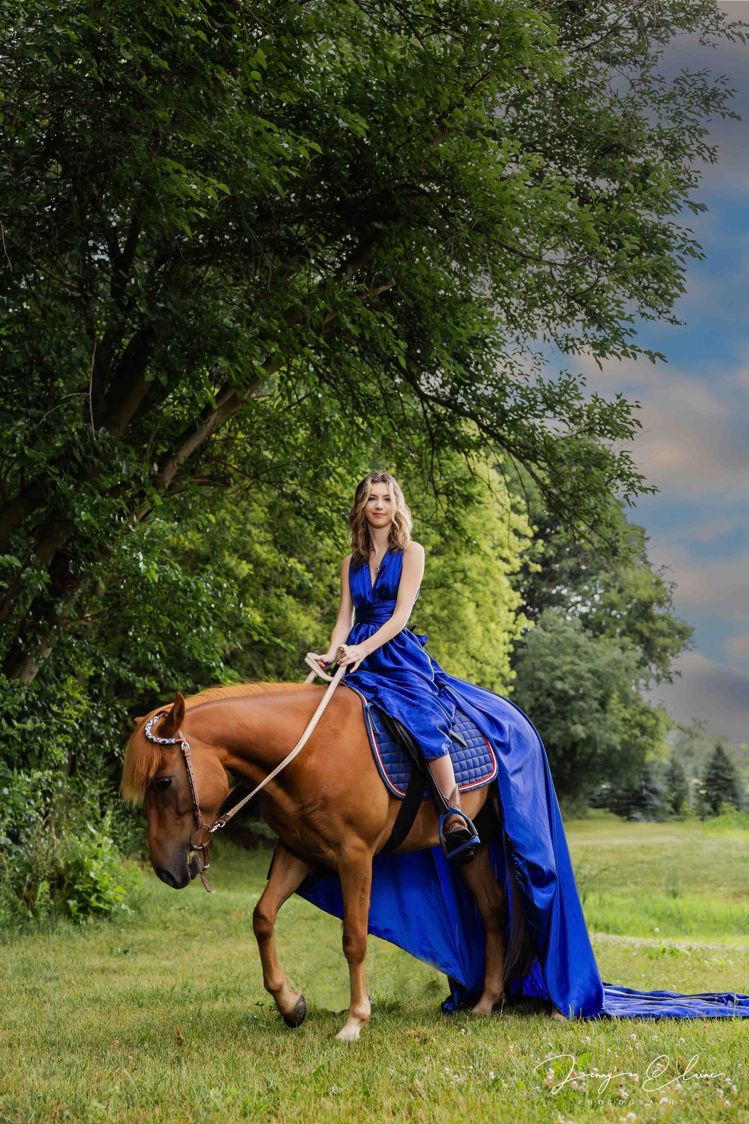 Janesville Wisconsin Horse Portraits 