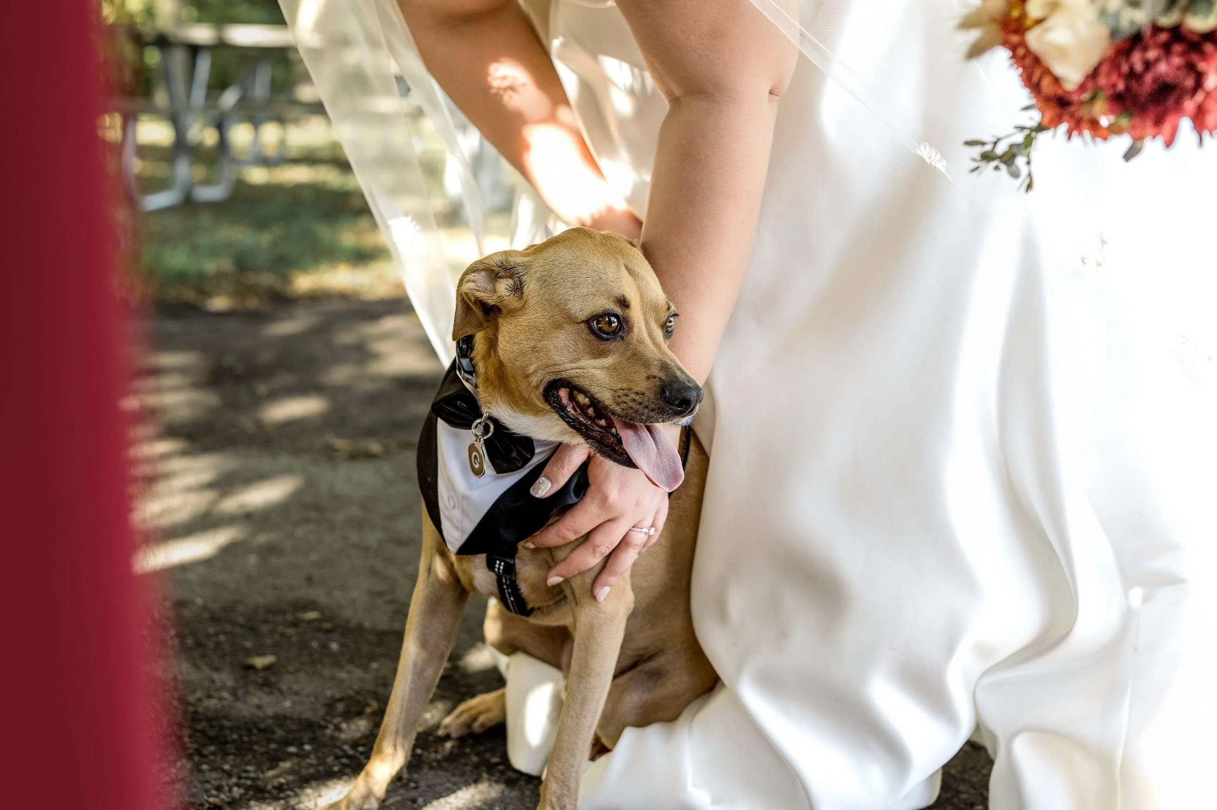 Best dog at the boat house in brown deer wi