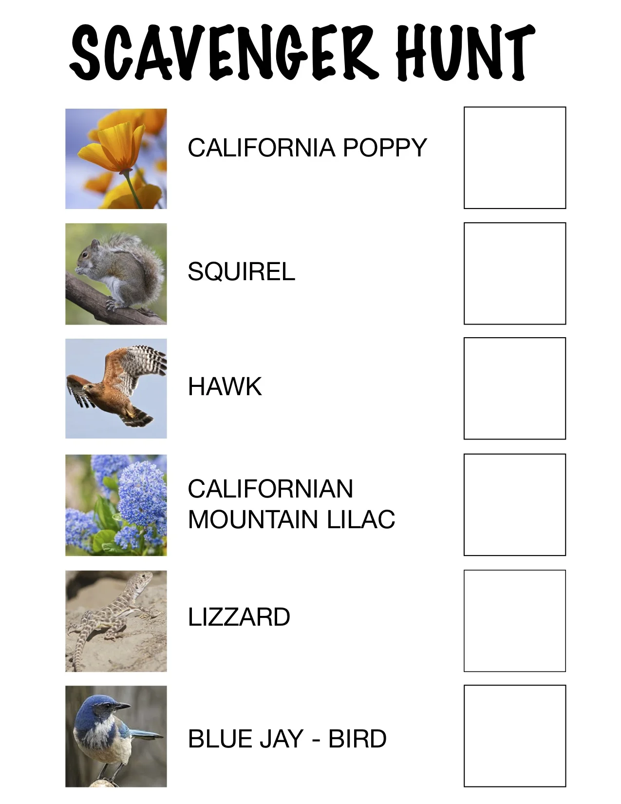SCAVENGER HUNT copy.jpg