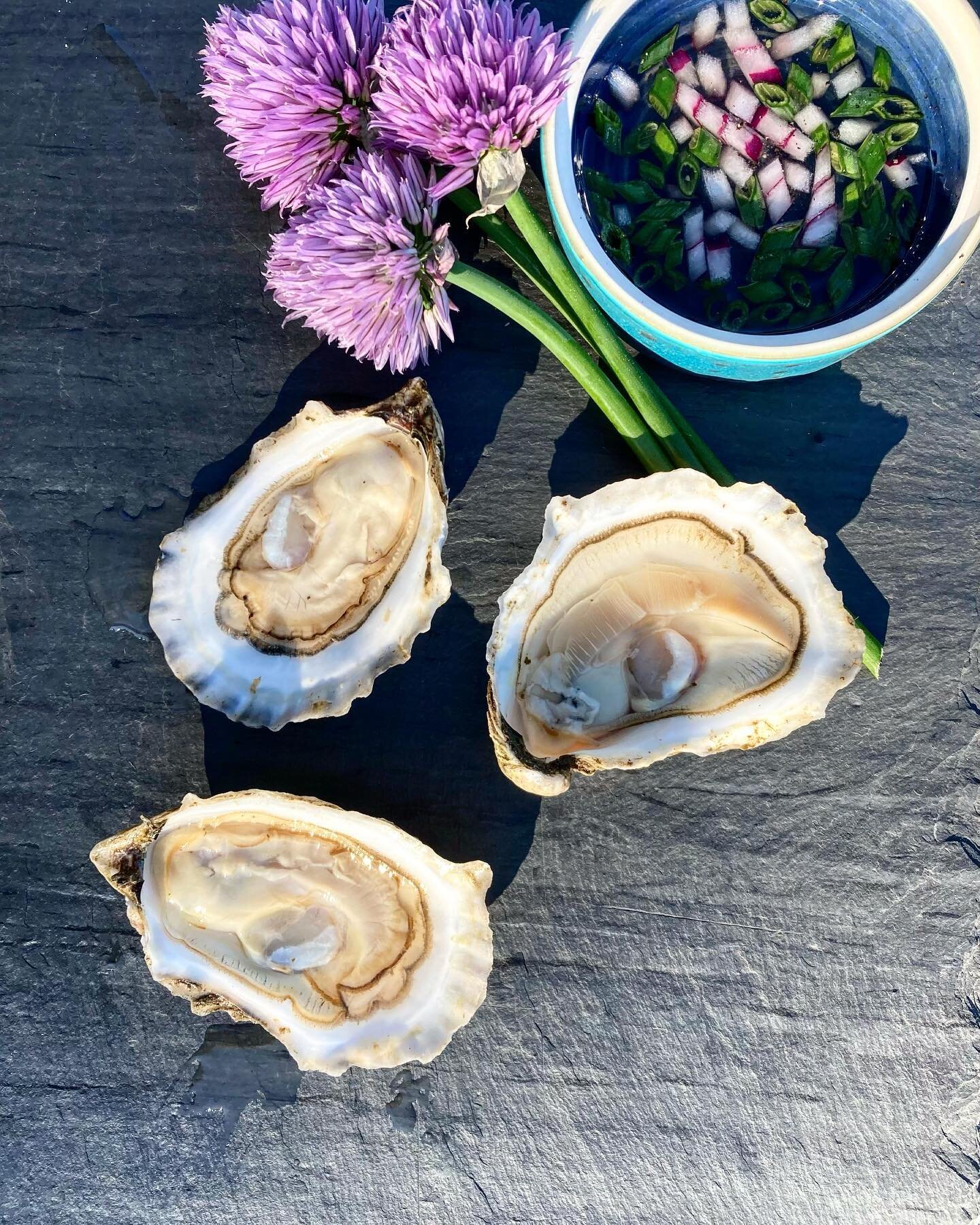 Summer OYSTERS 💦Cranberry Islanders - Sign up for our oyster farm drop at GCI General or LCI CO-OP. Pickup on Wednesdays and Fridays. You can ask for regular delivery the whole summer or add your name by the week. 
If you&rsquo;re on the mainland - 