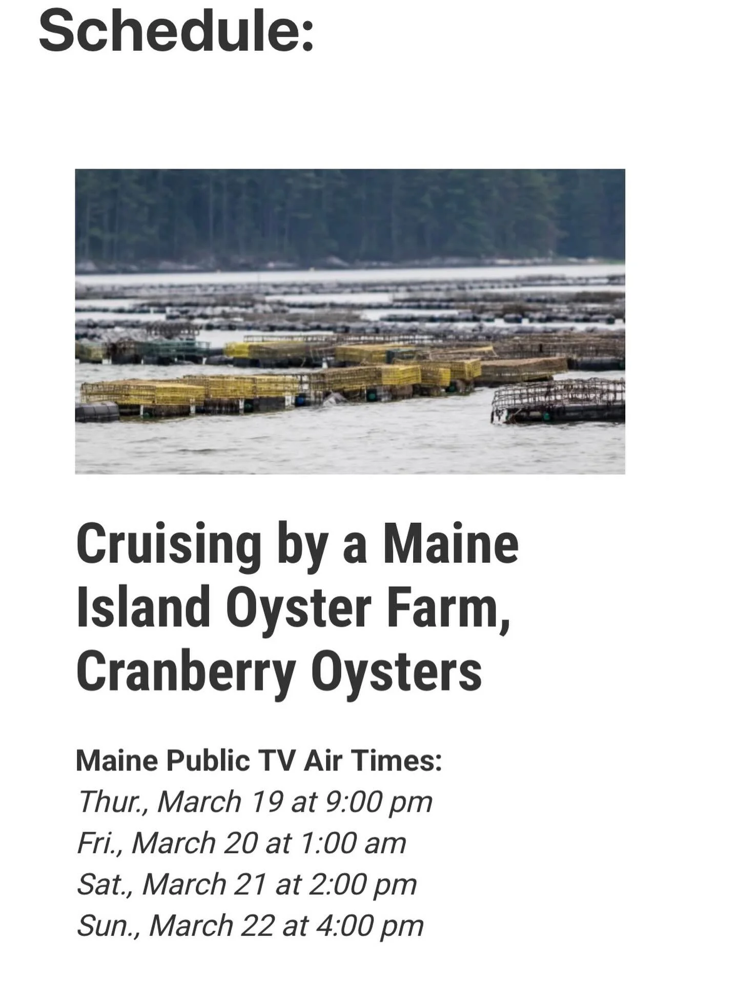 Check out the incredible short film created by @offcenterharbor about Cranberry Oysters on @mainepublic broadcasting this week!