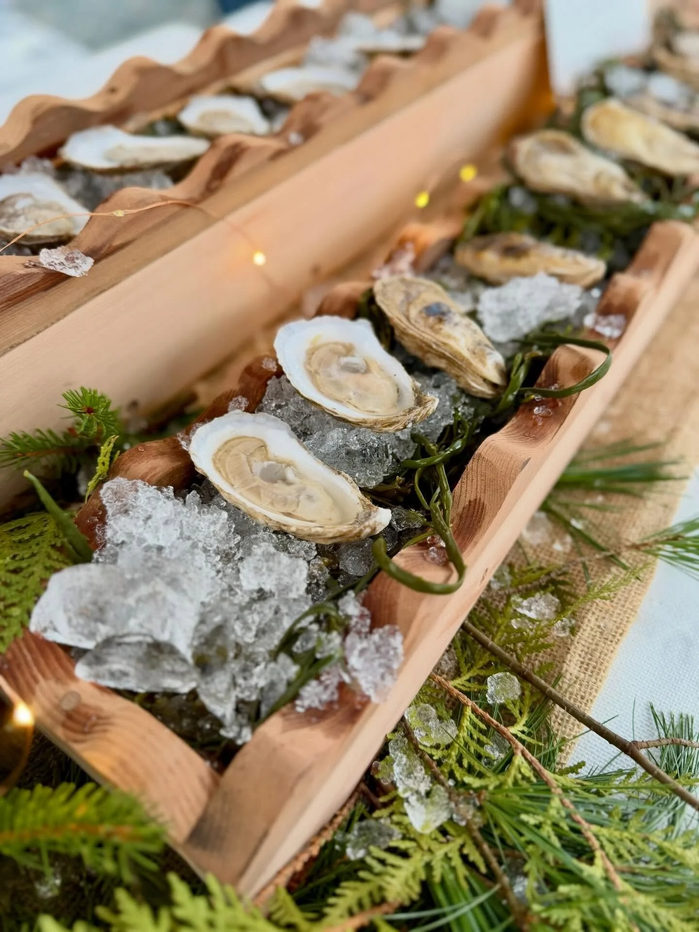 Come visit us at the Holiday Festival in Northeast Harbor, shucked oysters, bagged oysters and merch available! 3:30pm-5:00pm 🦪