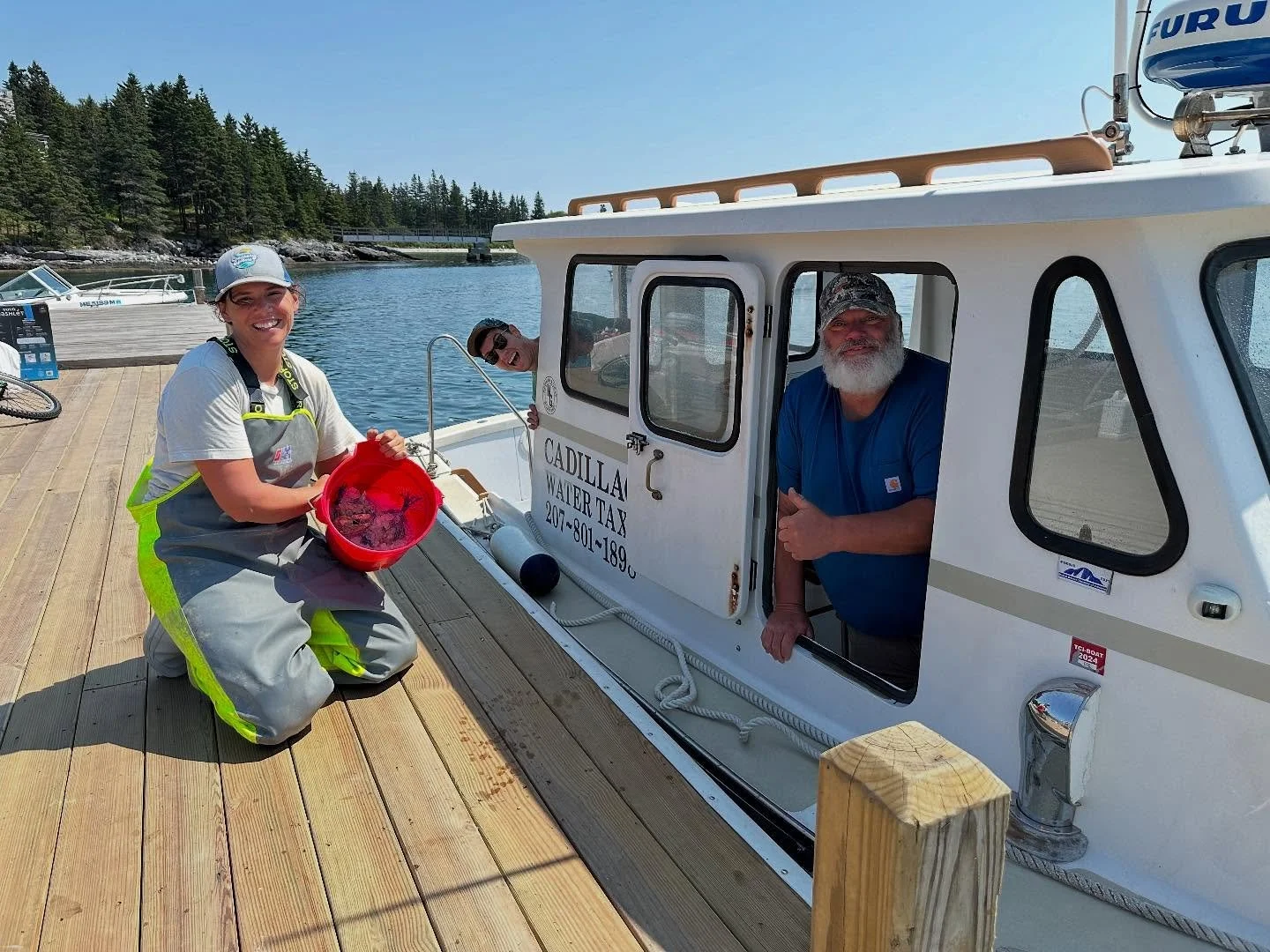We are re-opened and dockside sales for Great Cranberry are on! 2-3 pm. No dockside sales on Little Cranberry but I left bags at the Little Cranberry Co-Op this morning for purchase. Get &lsquo;em while they last 🙂