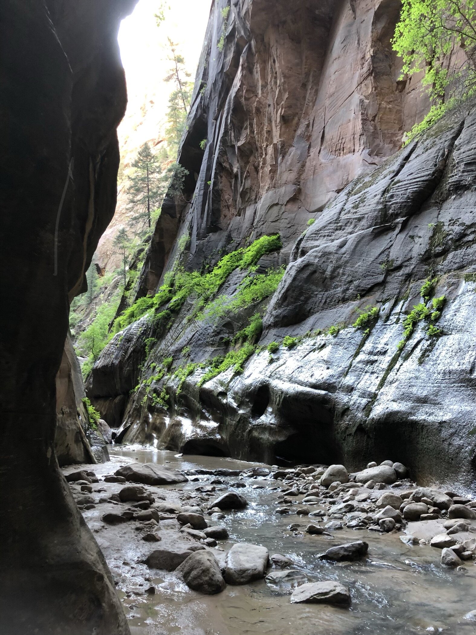 Day 11 - My time with Zion