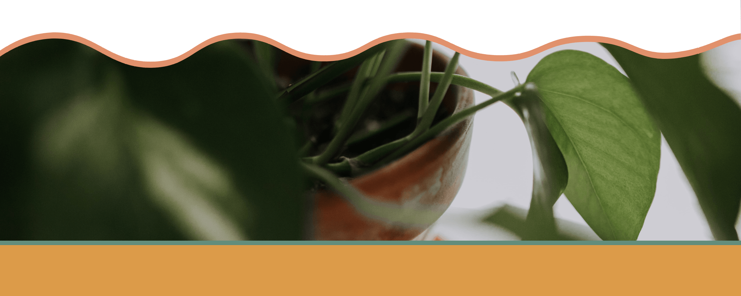 Sarah Rearick - Freelance Writer - Services Contact.png