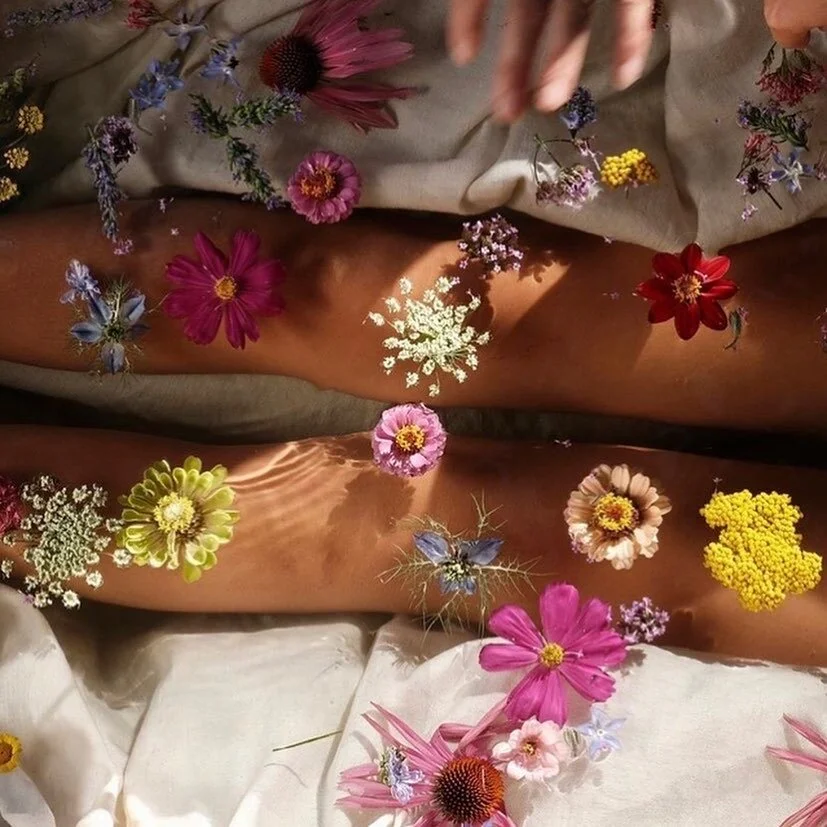 257AFF56-E91B-419B-9C5A-C4F5C48357CF