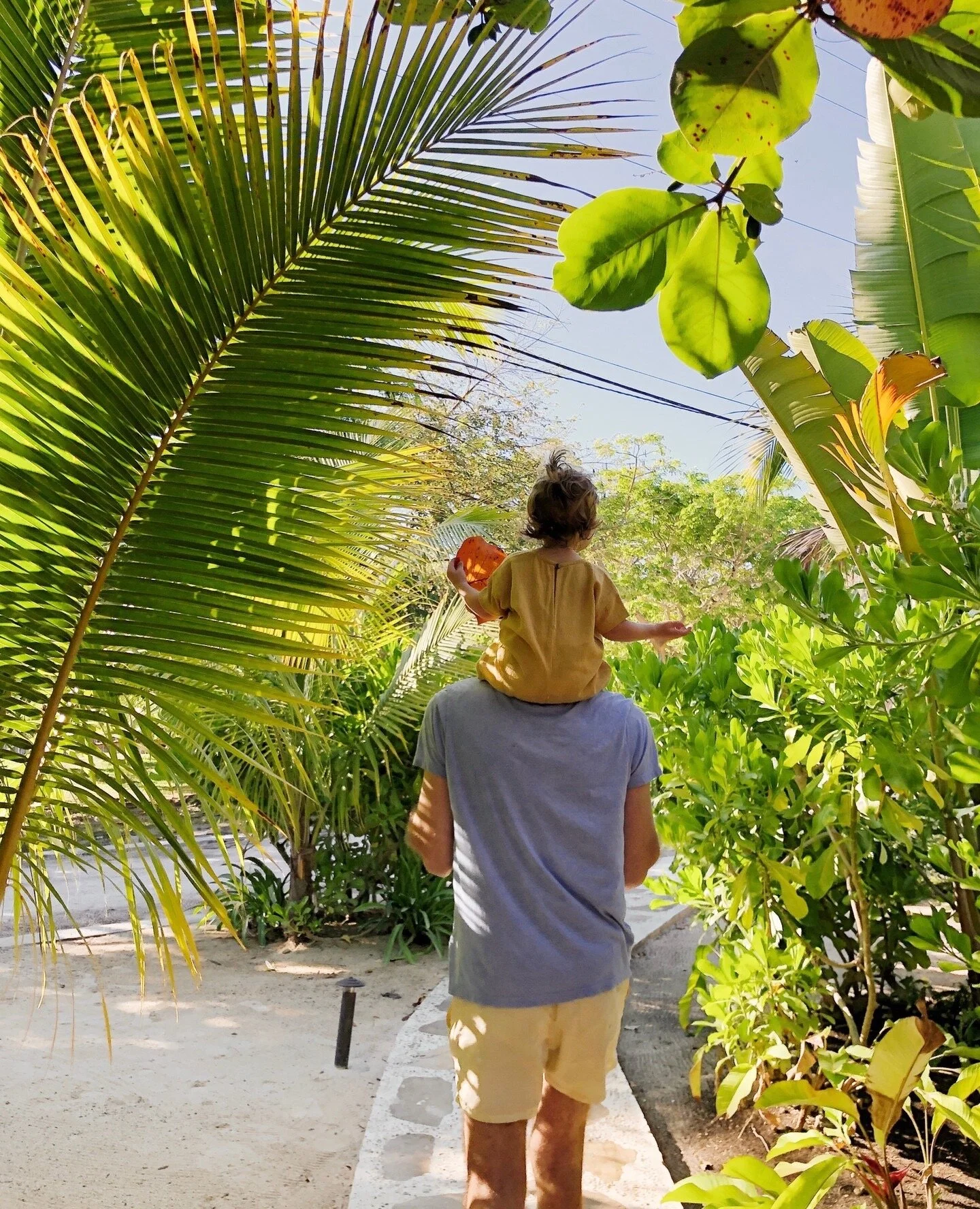 B84F1790-935C-4A4C-AAEF-56E773FC0D79