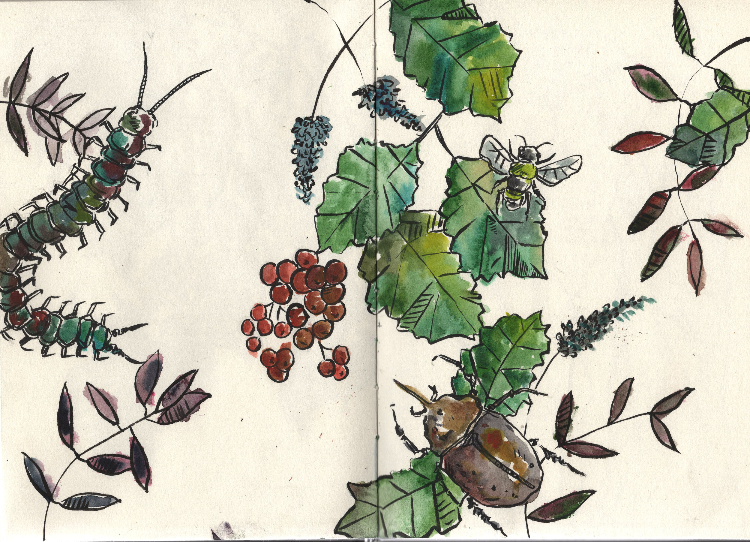 plants 2.jpg