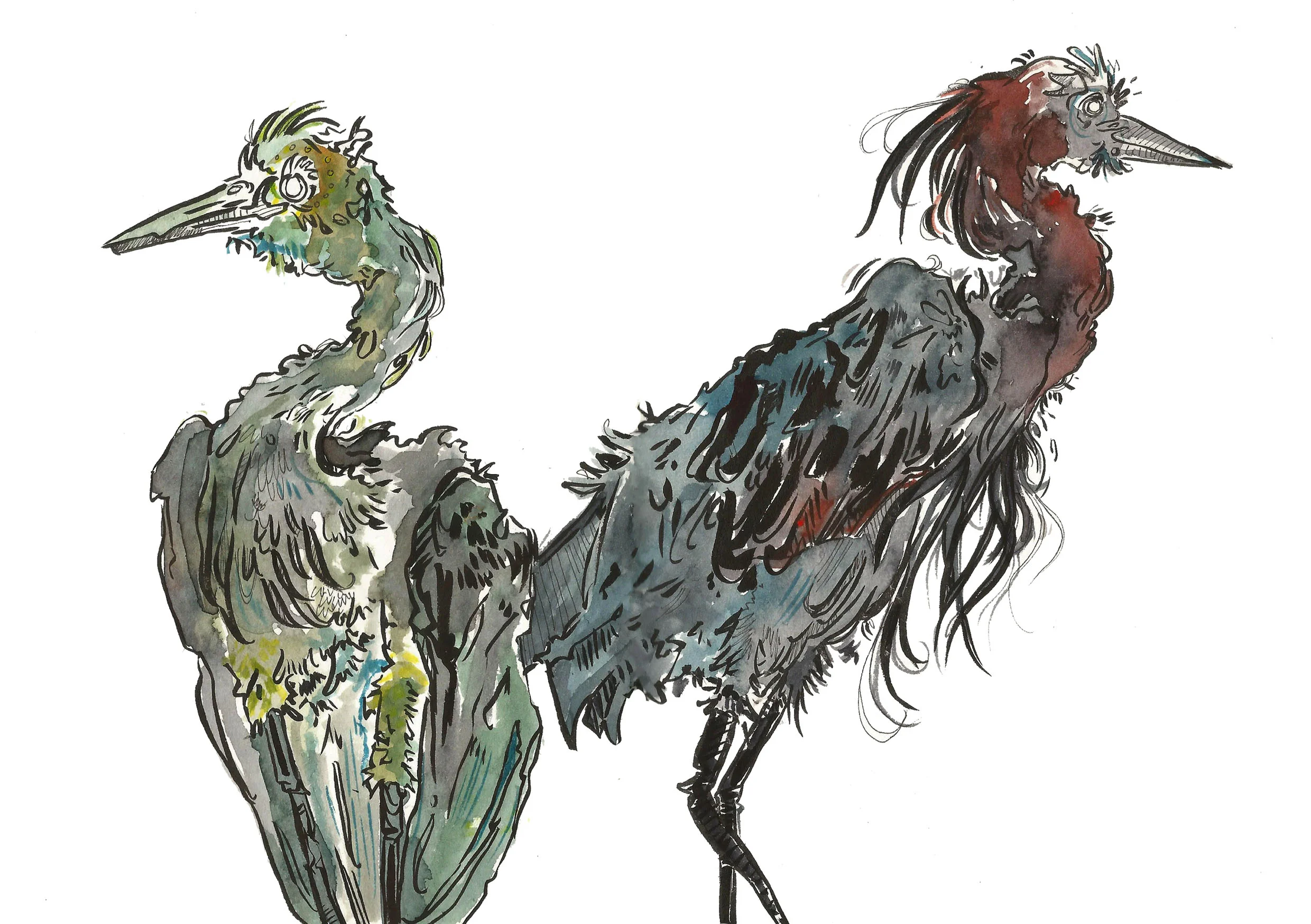 herons print.jpg