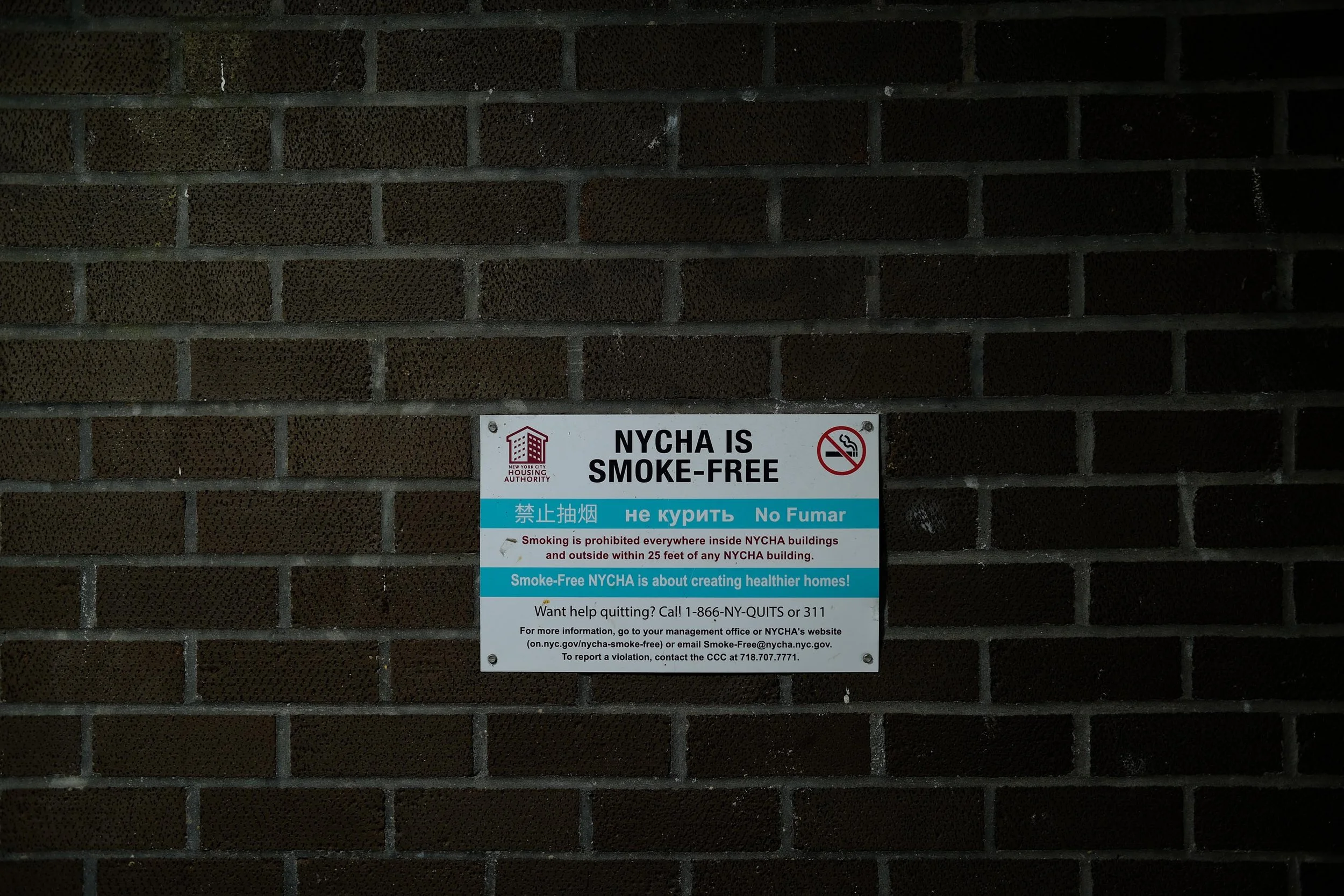 DSCF7354.jpg
