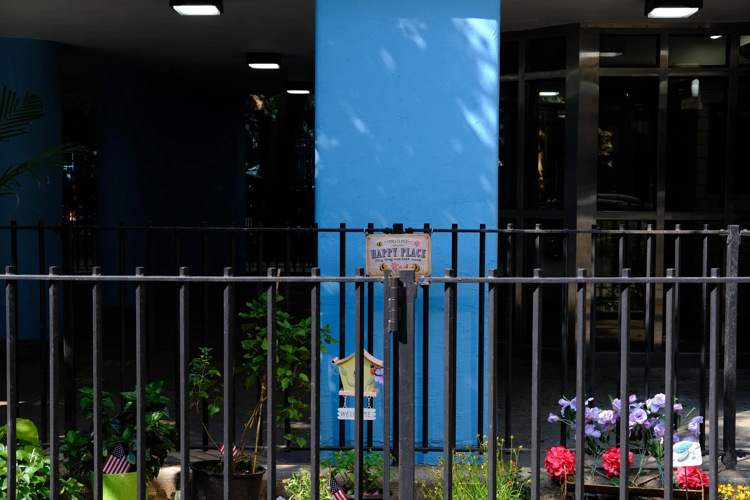 DSCF7364.jpg