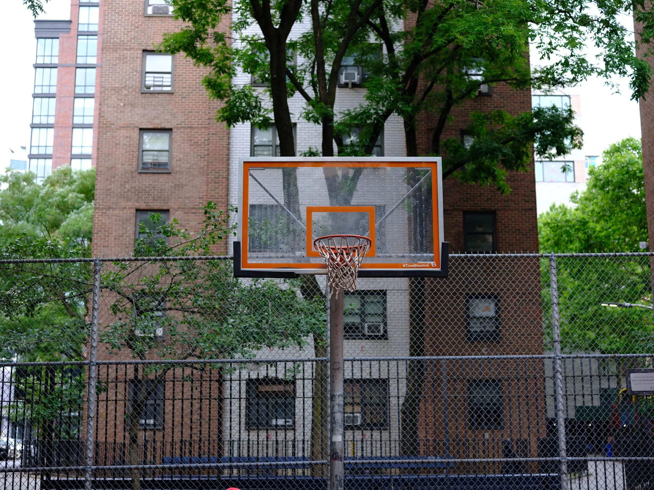 DSCF7911.jpg