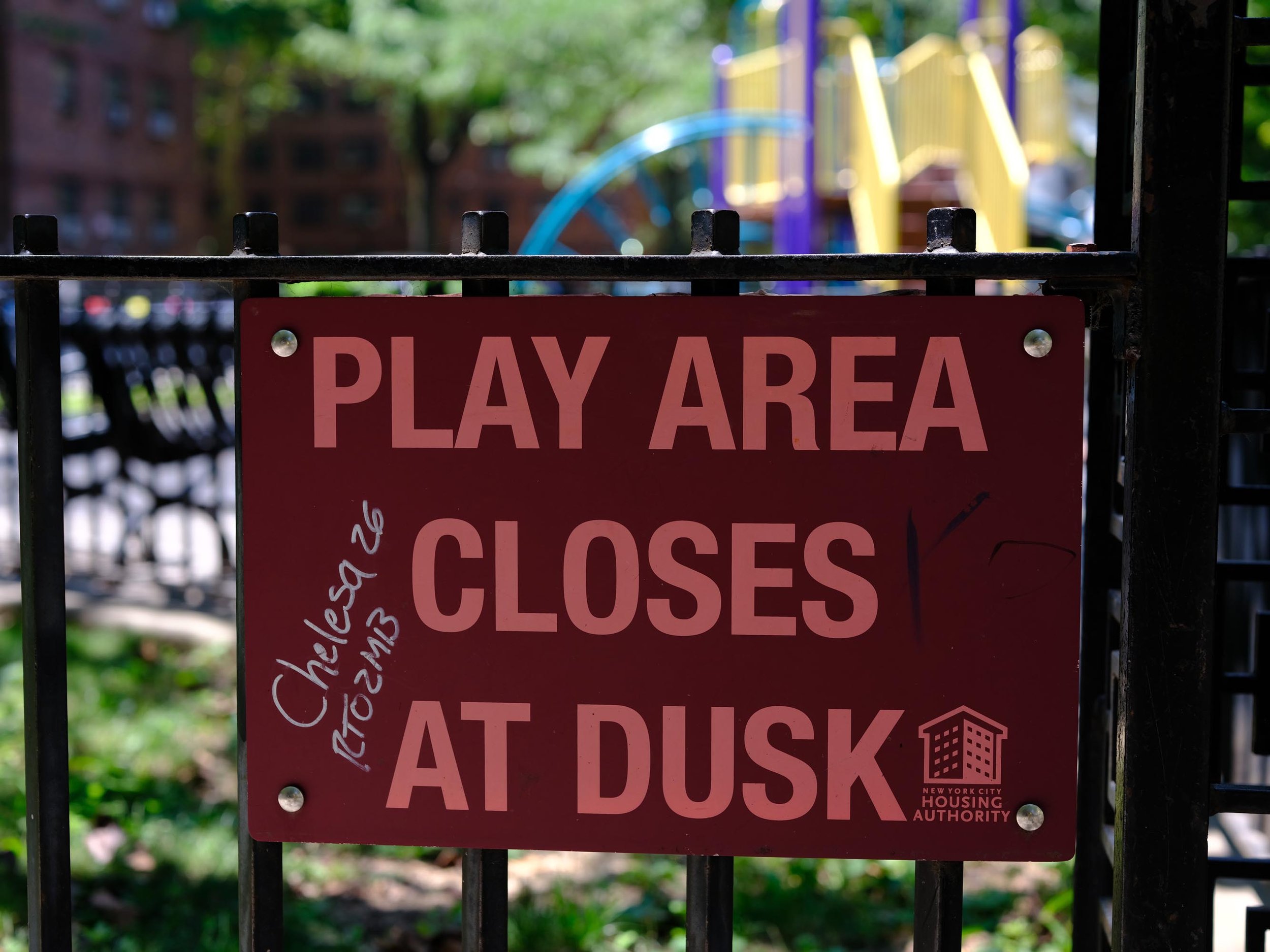 DSCF8675.jpg