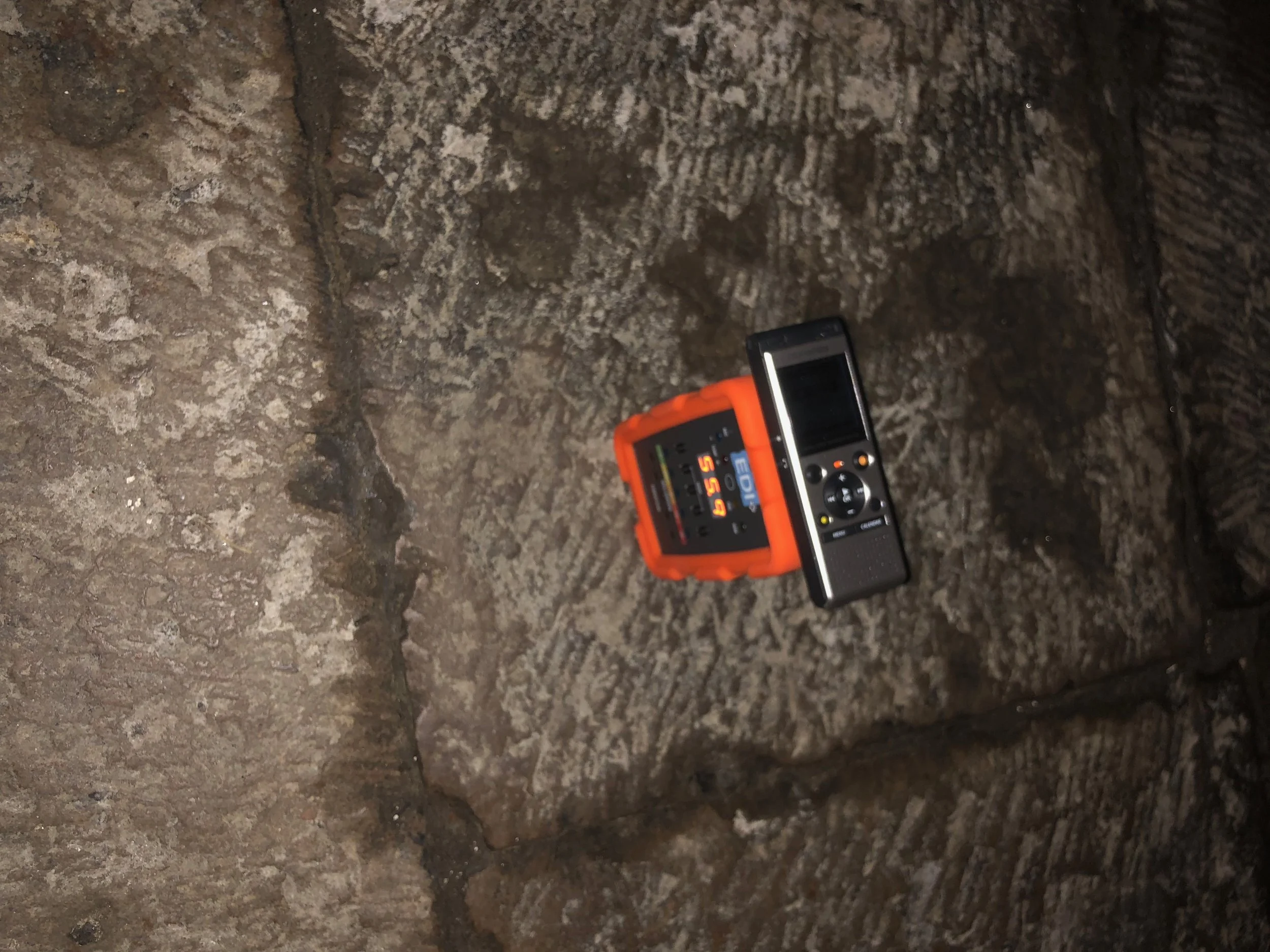 EVP