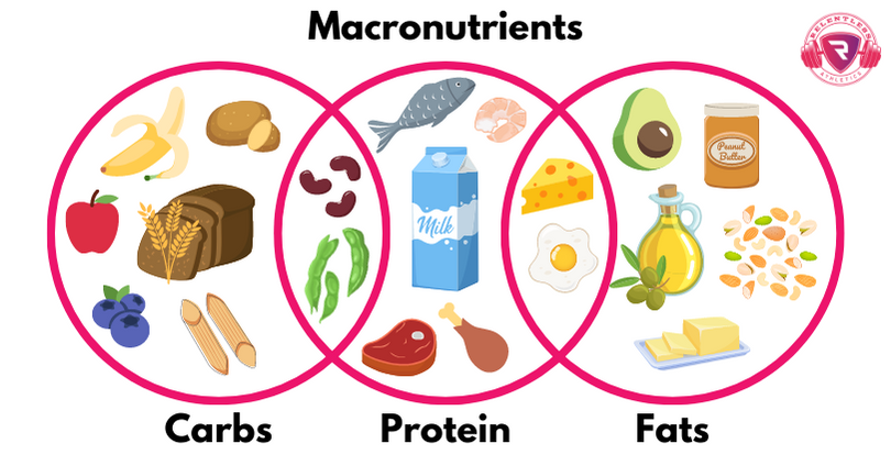 Nutrition, sport et performance