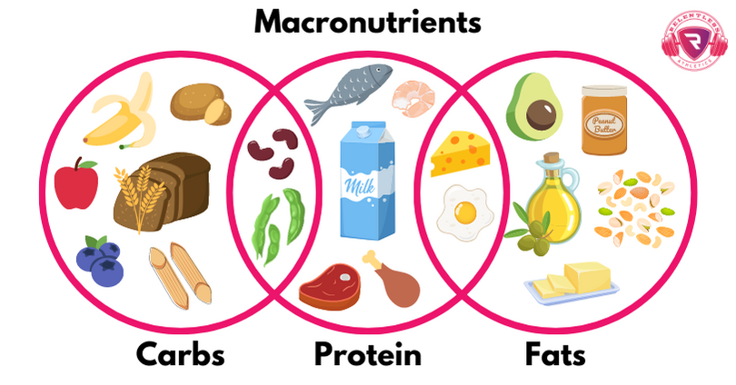 macronutrients+%281%29