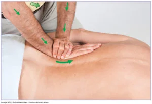 Lower Crossed Syndrome Blog Photo 5 1