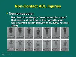 DEVELOPING THE YOUNG FEMALE ATHLETE 5 images 1