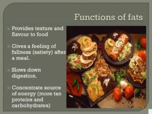 Gives a feeling of fullness (satiety) after a meal. Slows down digestion. Concentrate source of energy (more than proteins and carbohydrates) energy. reserve of energy. protects vital organs. insulates/preserves body heat. source of fat-soluble vitamins/A D E K. increases calorific value of foods without adding bulk. provides texture to food. provides flavour. gives a feeling of fullness (satiety) after a meal. slows down digestion . formation of cell membranes.