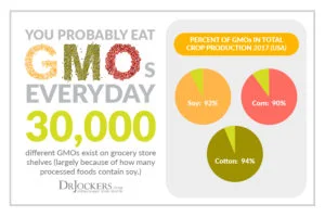 GMO Stats 1
